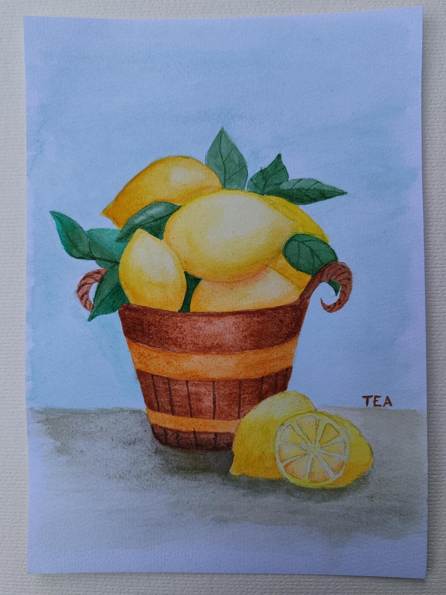 Lemon bucket - image 1 - student project