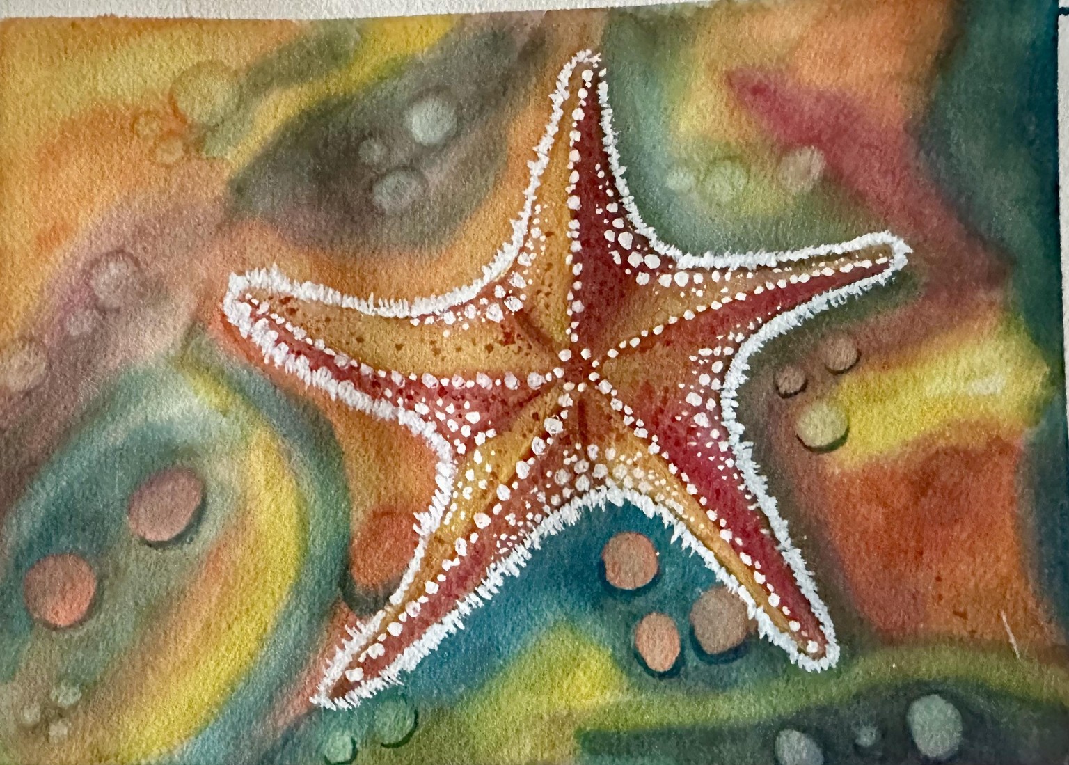 Starfish - image 1 - student project