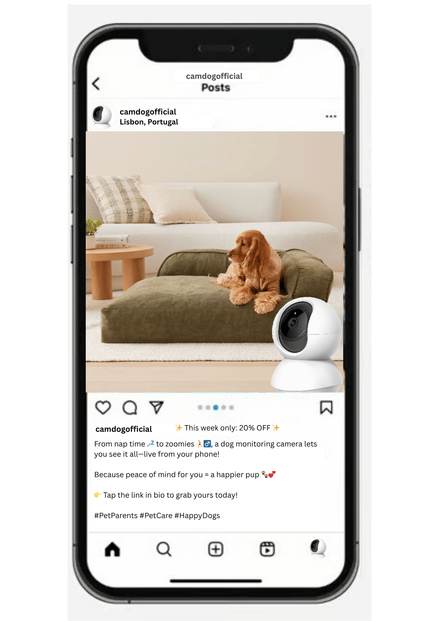 CamDog Instagram - image 1 - student project