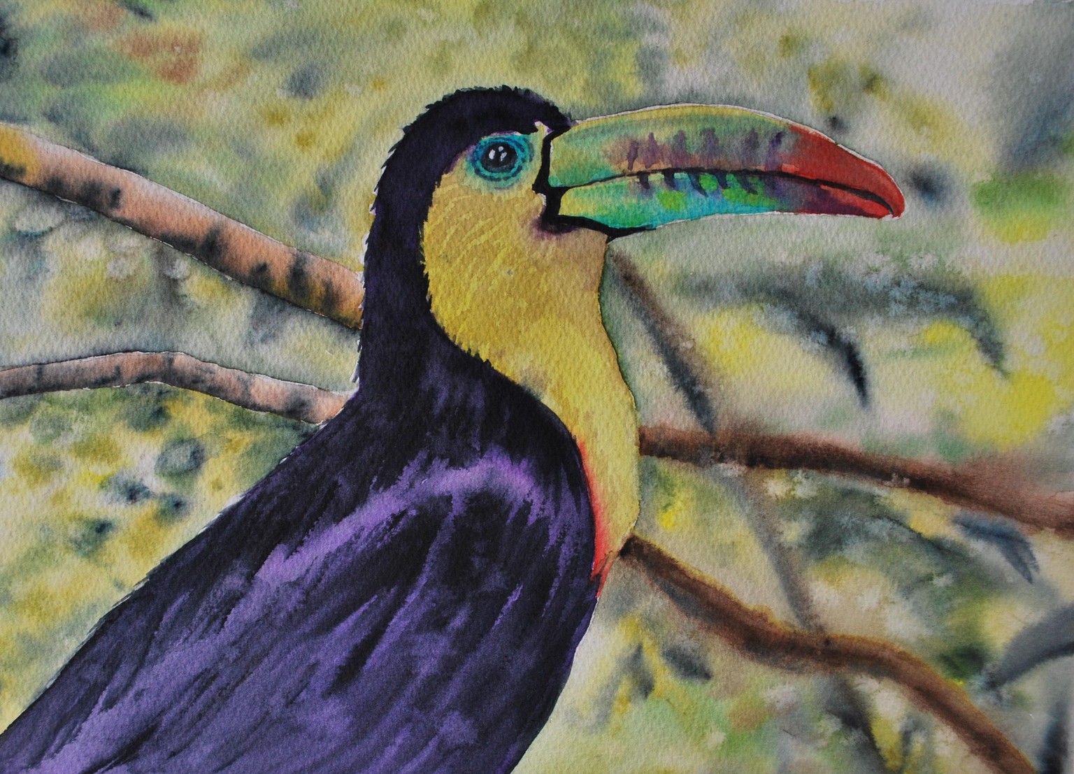 Toucan - image 1 - student project