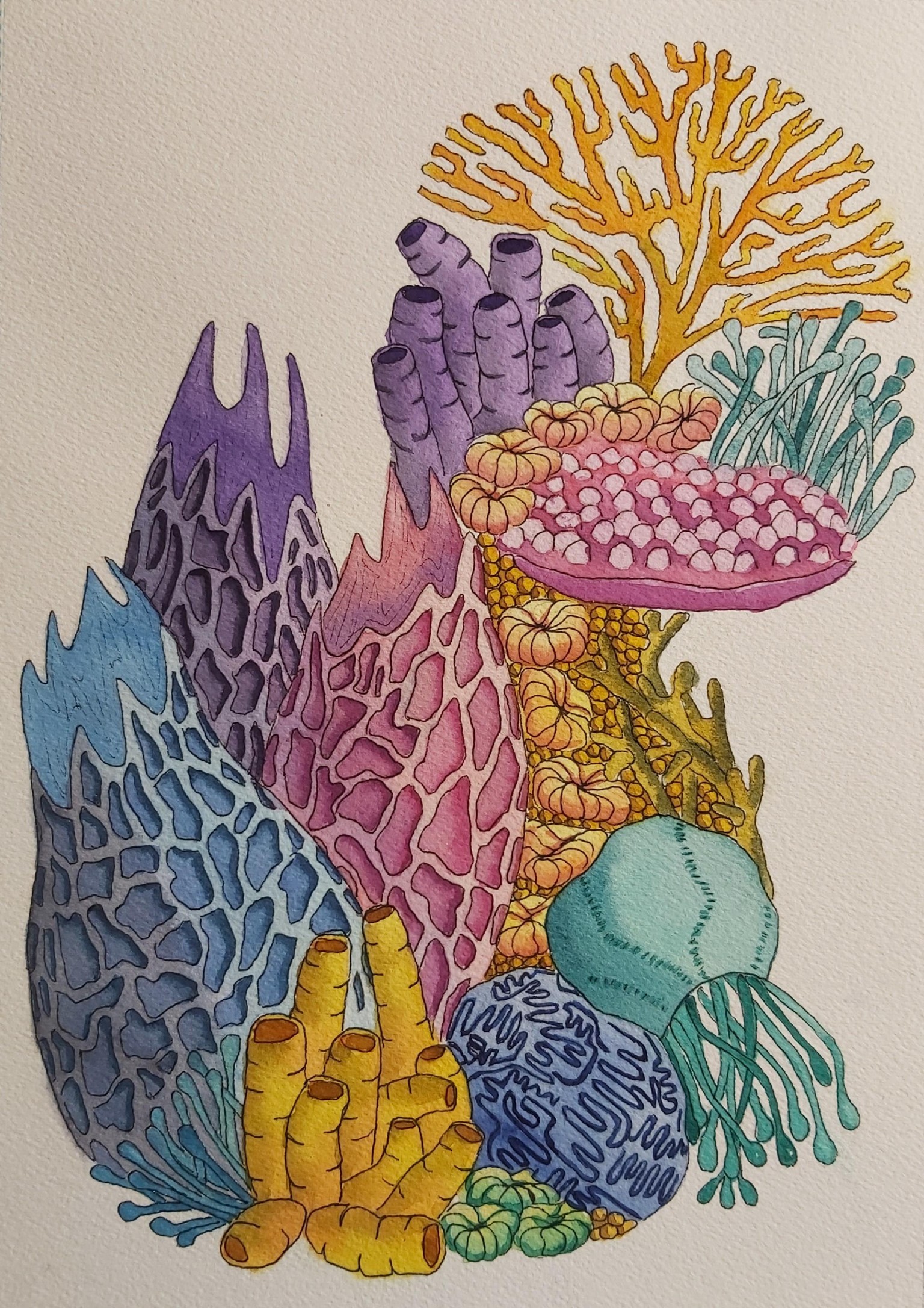 Coral Reef - image 1 - student project