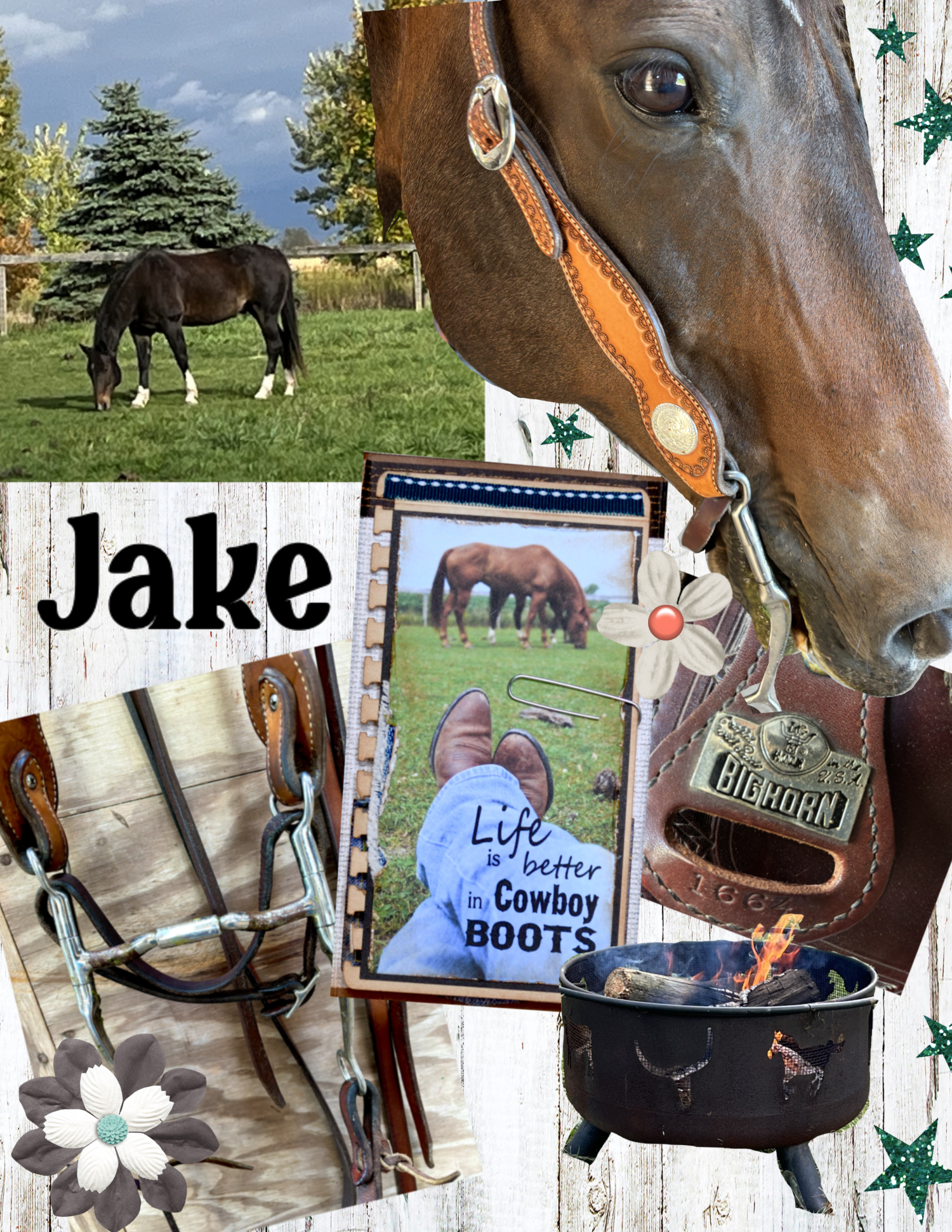 Jake in Photopea - image 1 - student project
