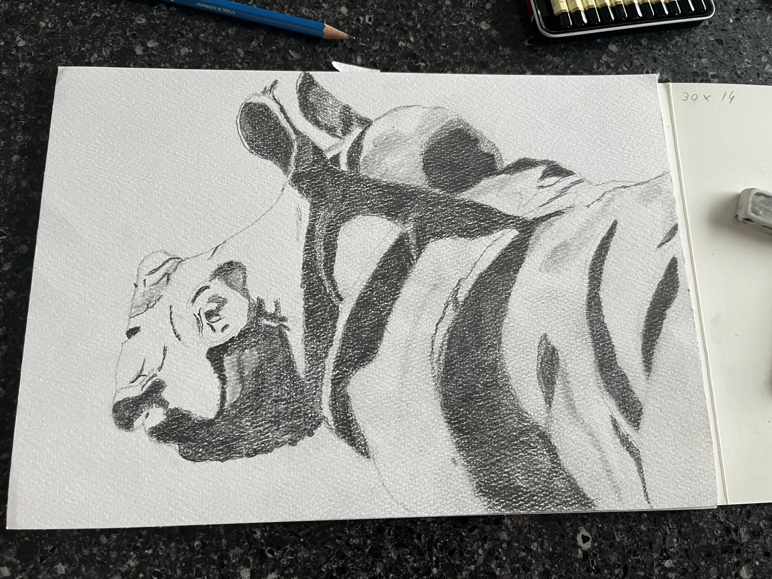 Baby rhinocéros - image 1 - student project