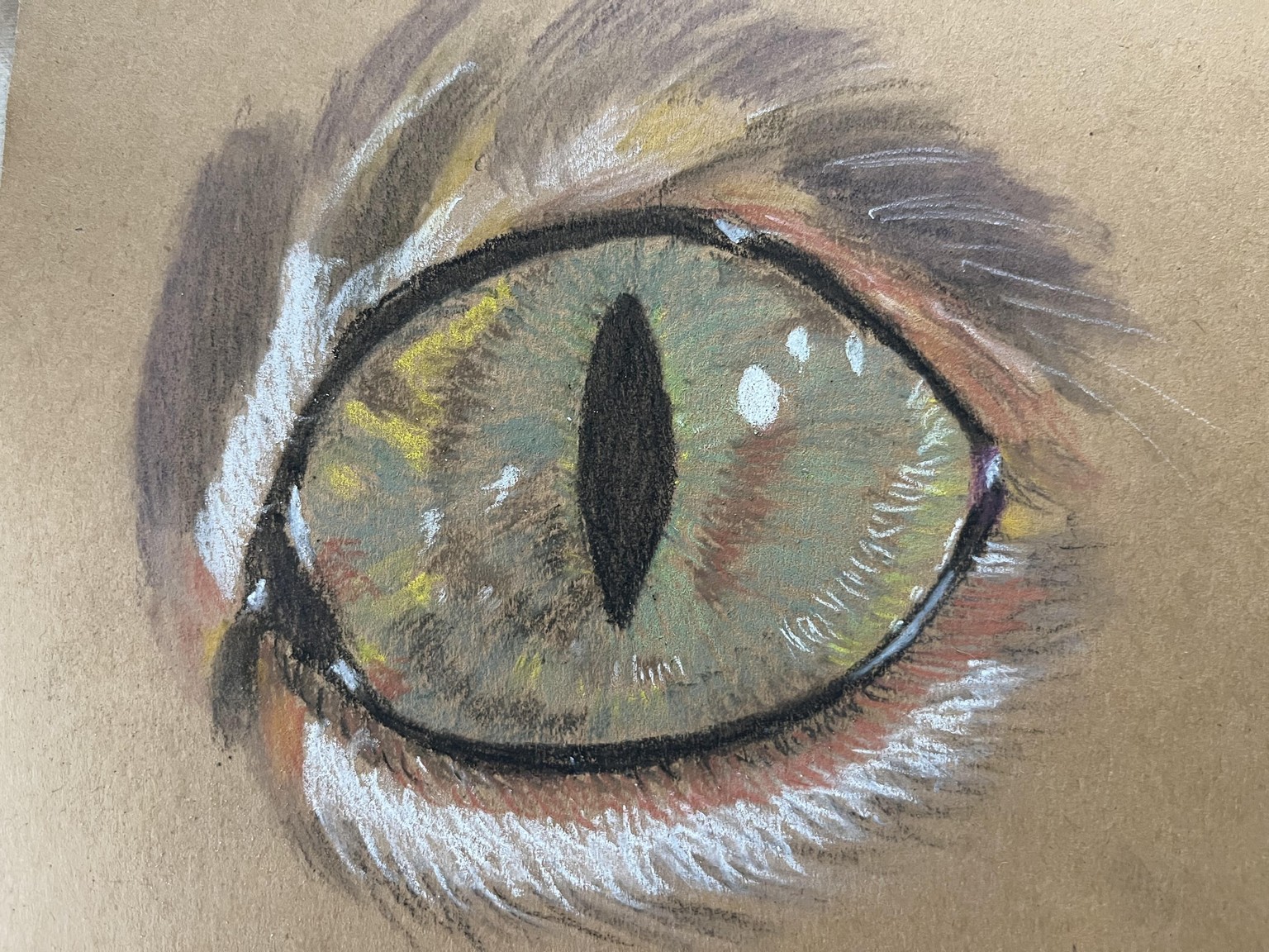 Cat eye - image 1 - student project