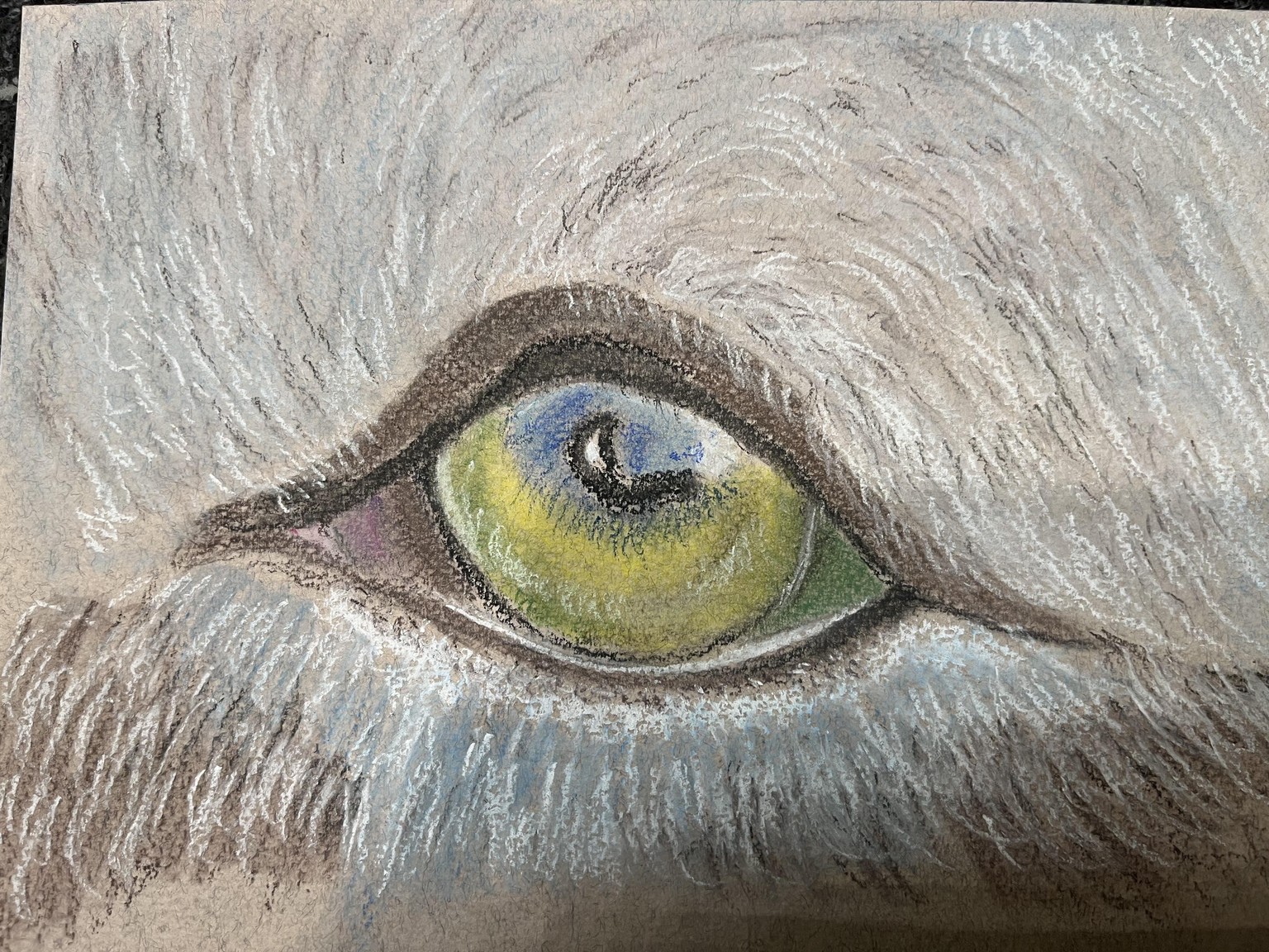 Cat eye - image 2 - student project