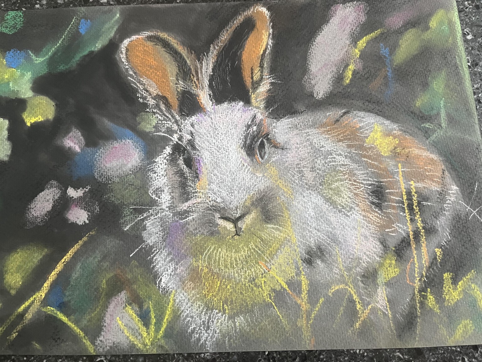 Bunny wild - image 1 - student project