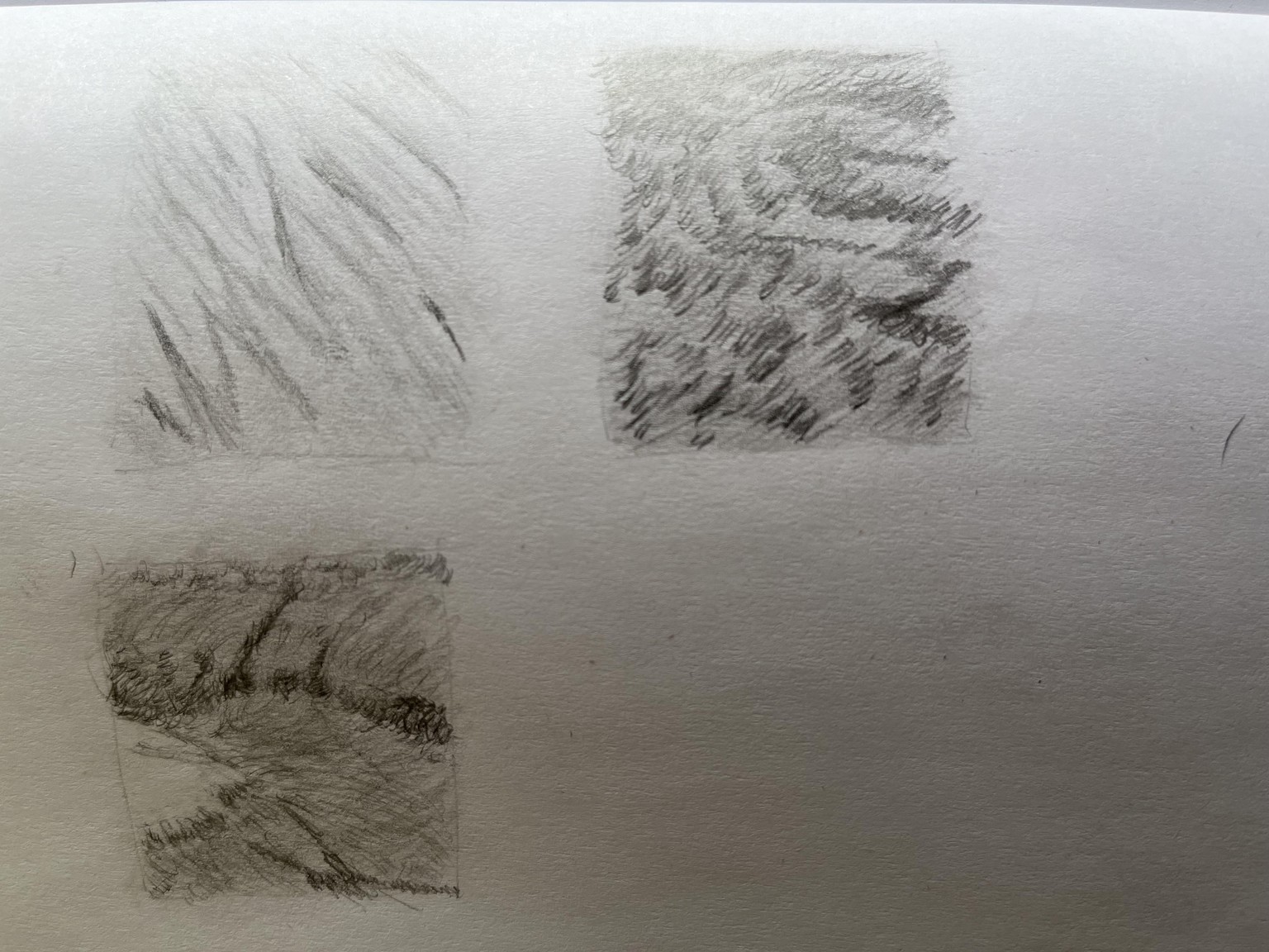Fur - image 1 - student project