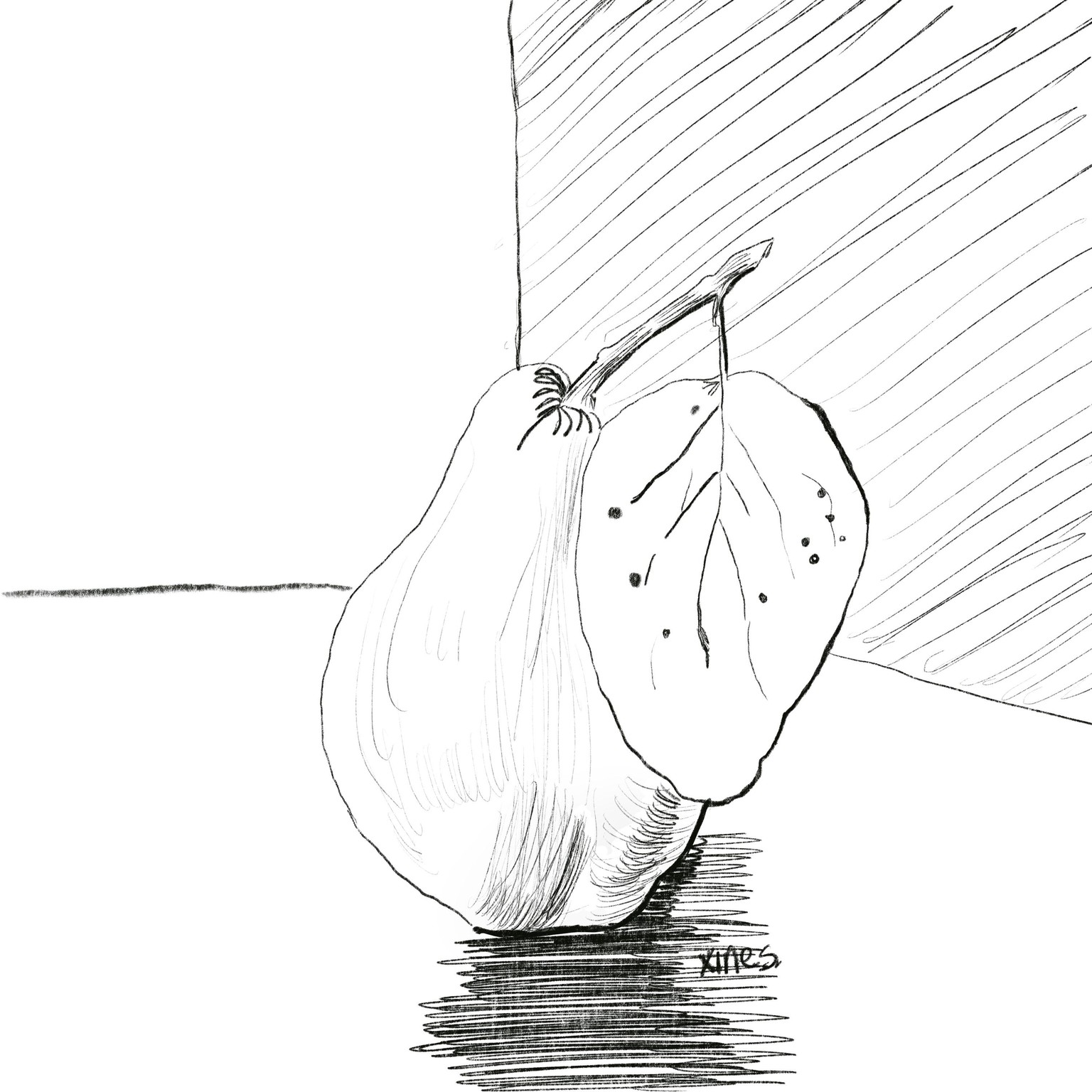 Pear - image 2 - student project