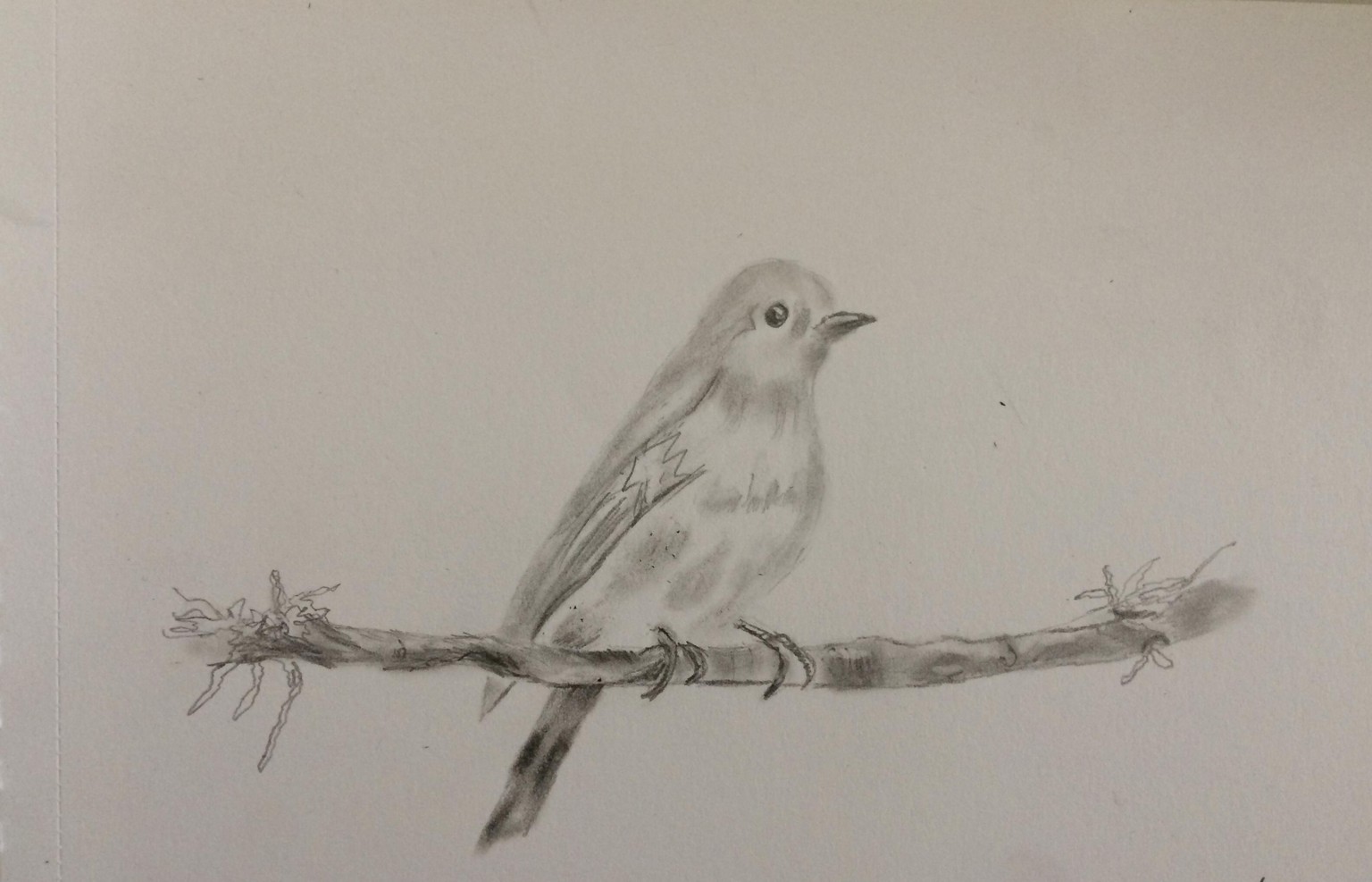 Great lesson - image 1 - student project