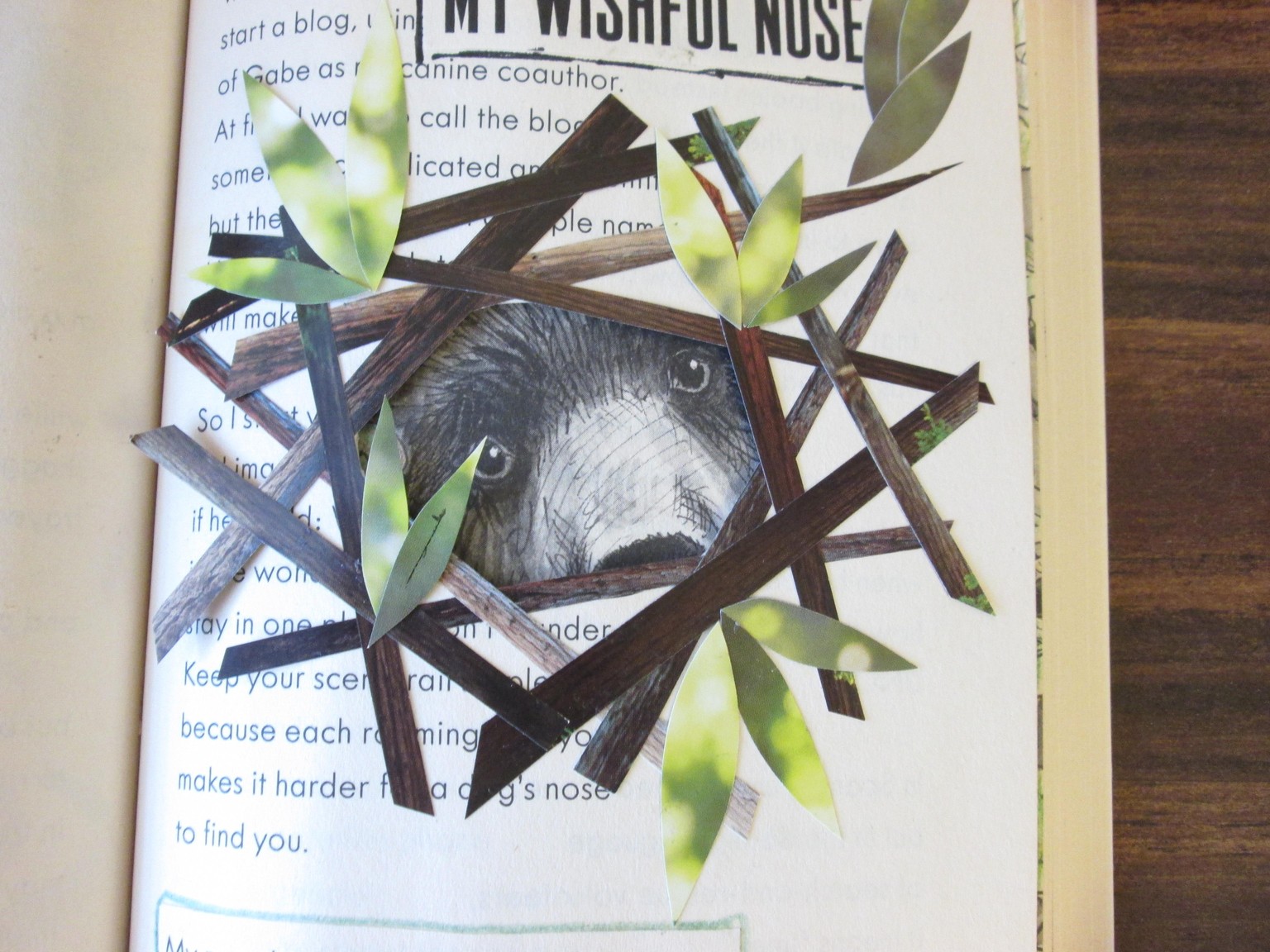 Tunnel Book - image 2 - student project
