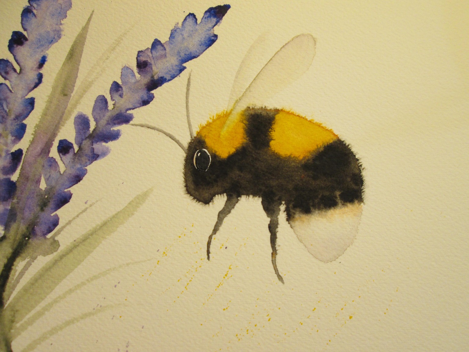 Bumblebee - image 1 - student project