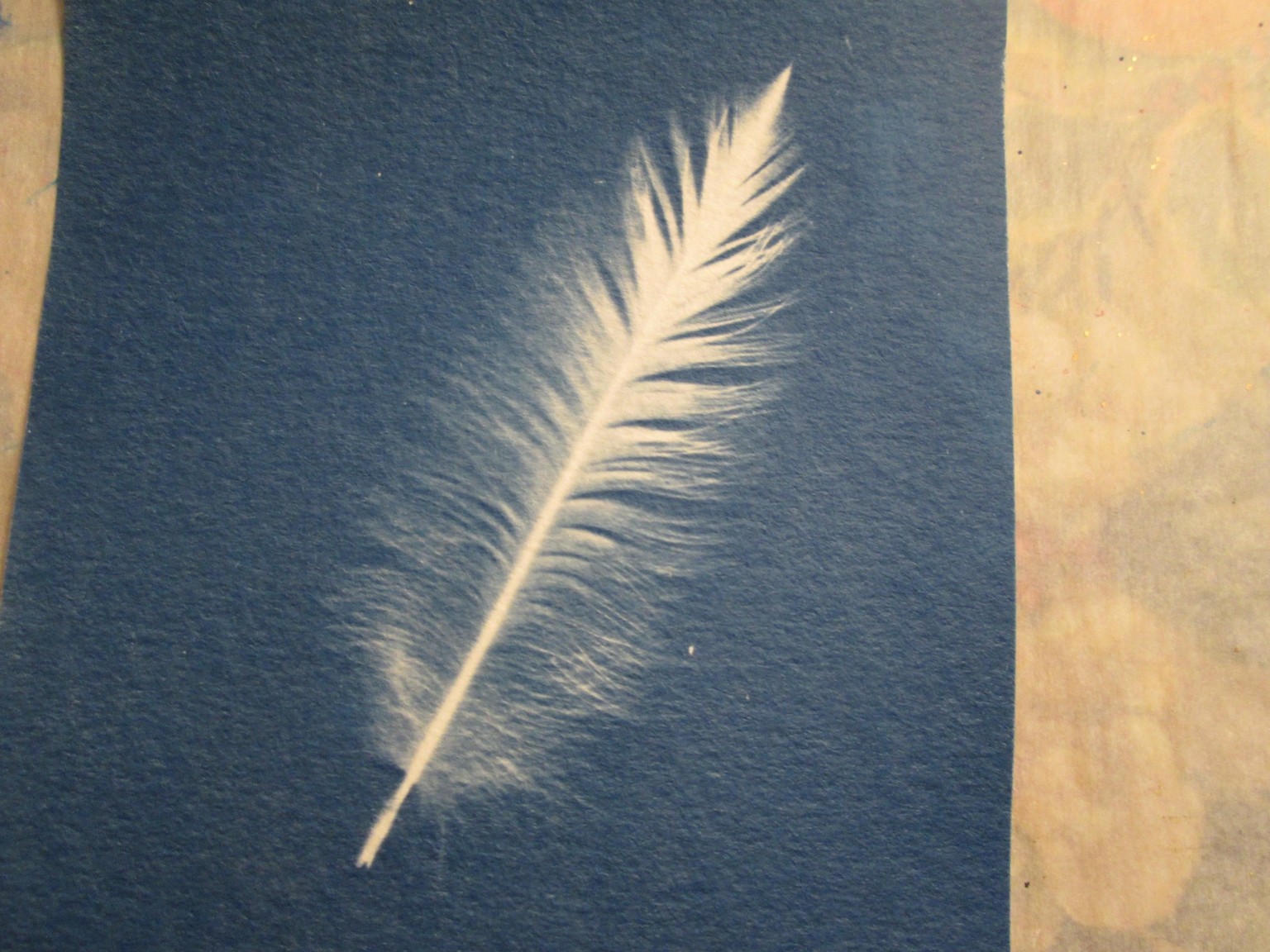 Cyanotype Angel and Feather - image 1 - student project