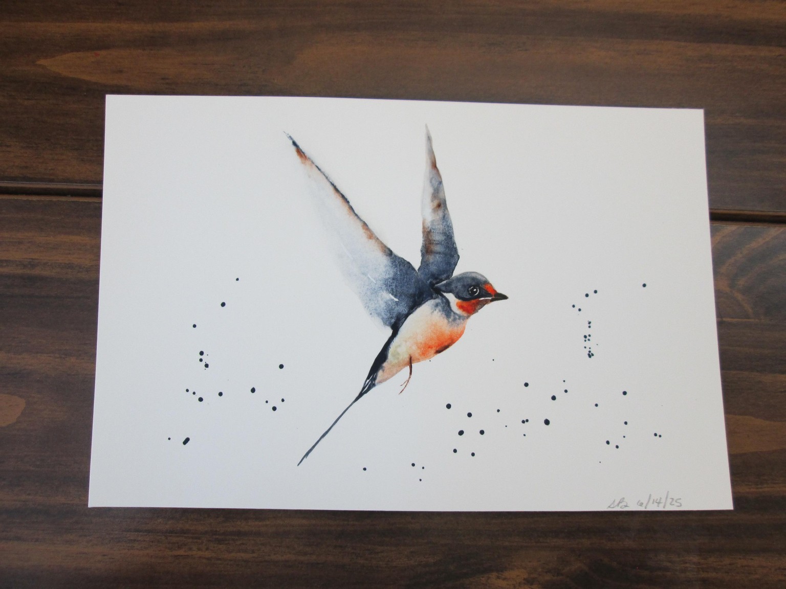 Swallows with Jane Davies - image 1 - student project