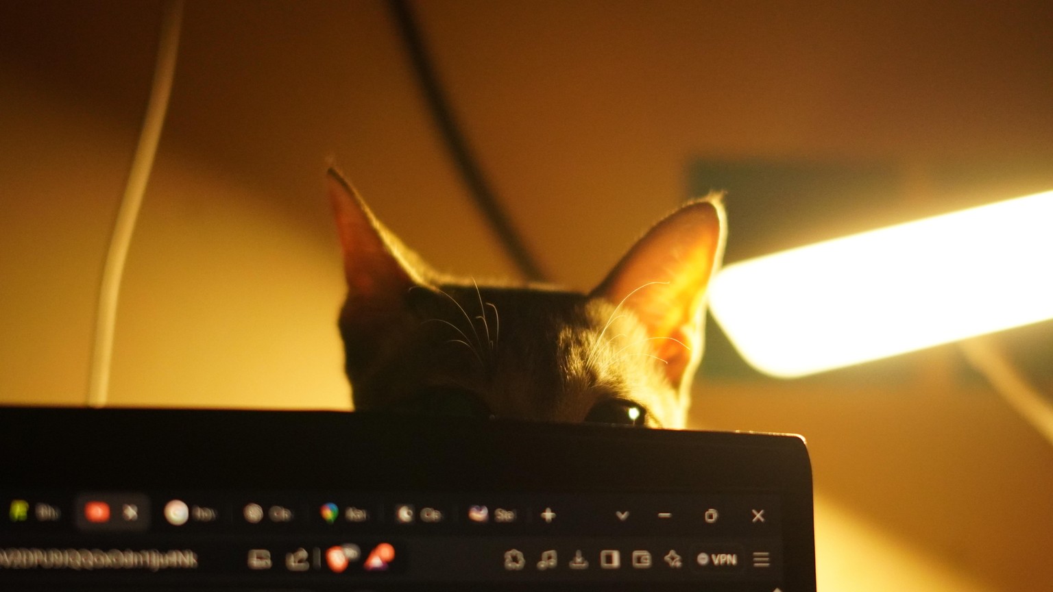 lighting - image 1 - student project