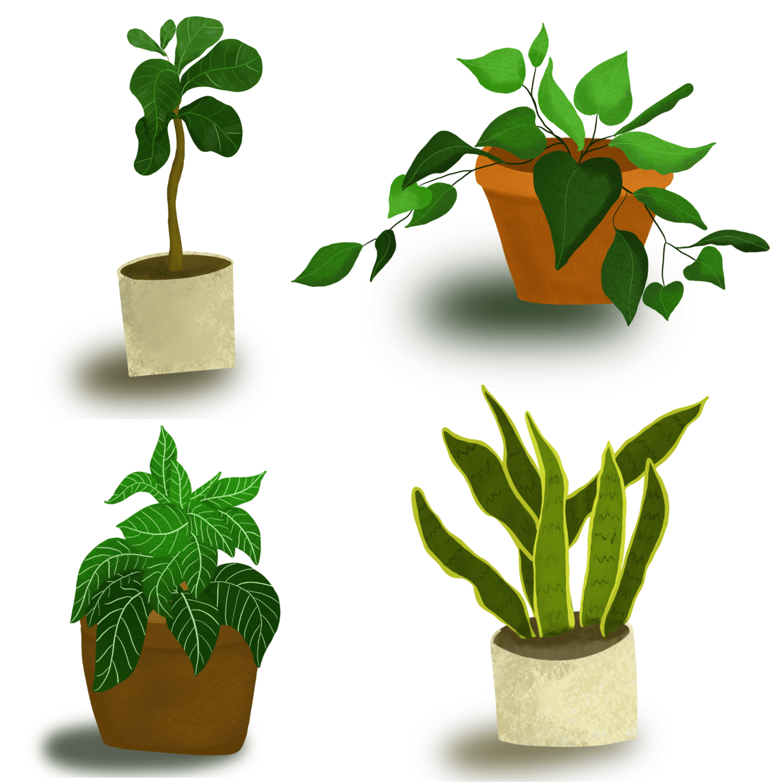Plants - image 1 - student project