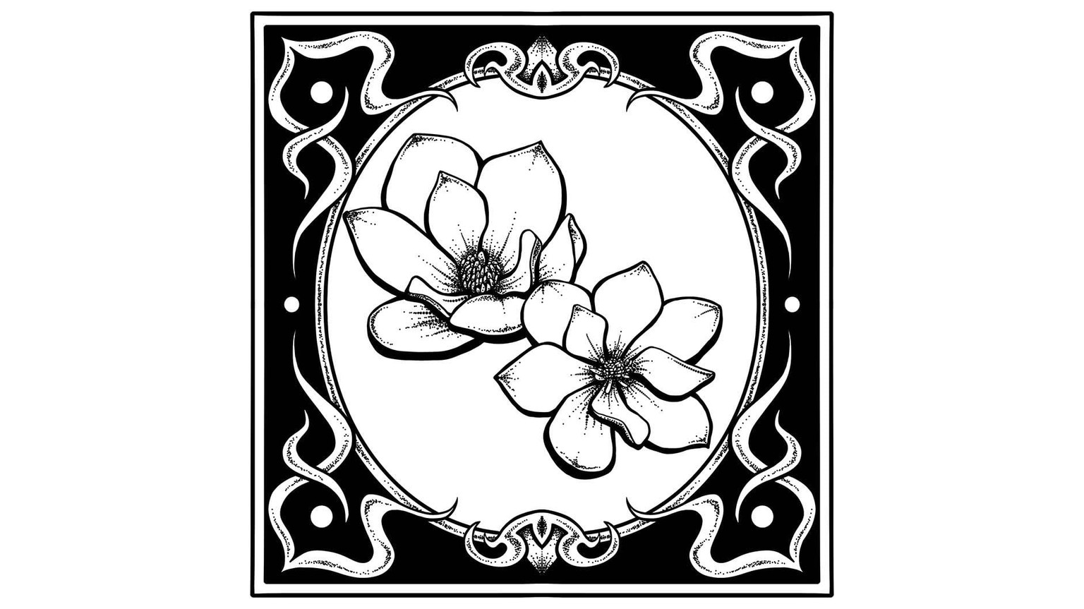 Magnolia flowers - image 1 - student project
