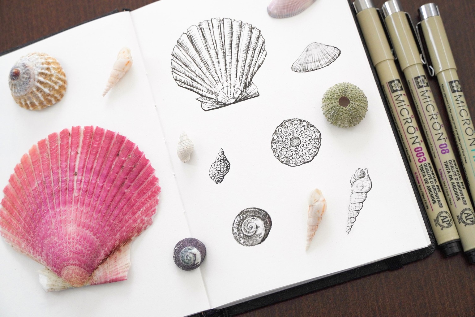 Seashells with Ink pens + Digital - image 1 - student project