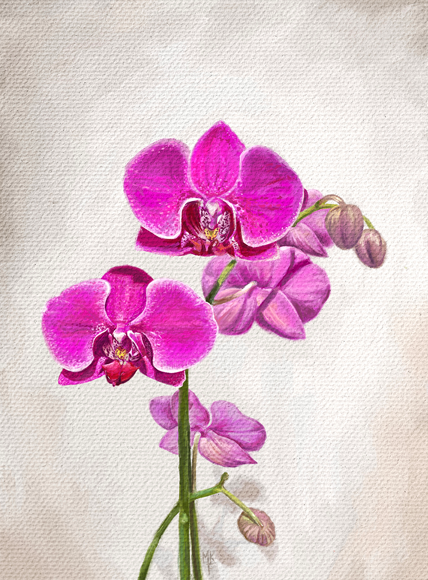 Orchid Oil Painting - image 1 - student project