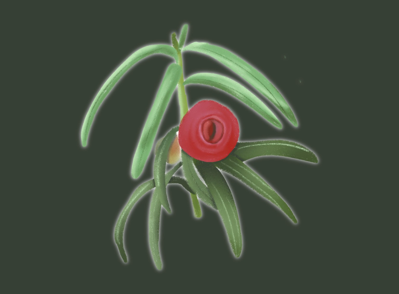 Simple but detailed - image 6 - student project
