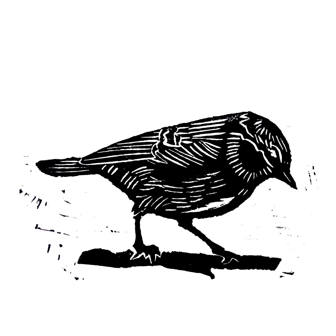 first bird attempt - image 1 - student project