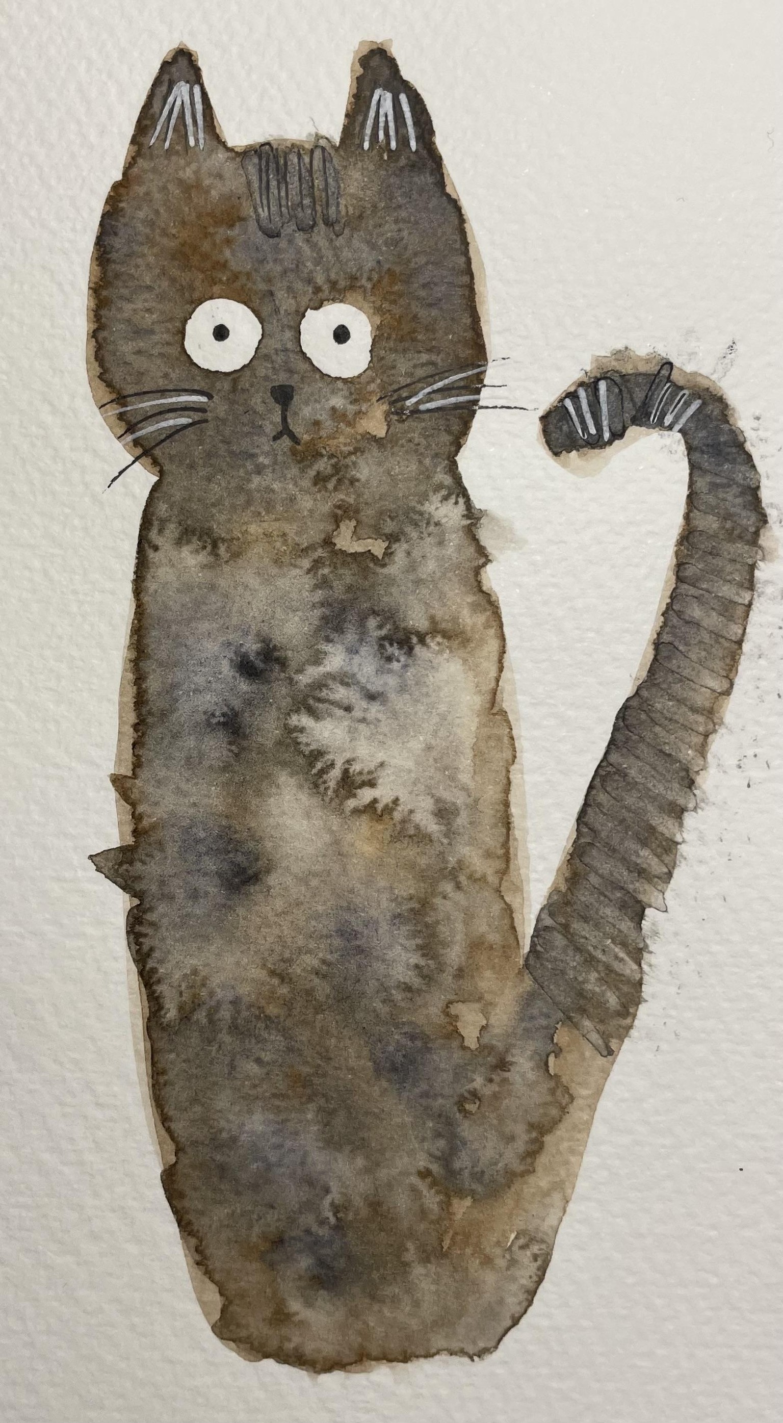 Cats - image 2 - student project