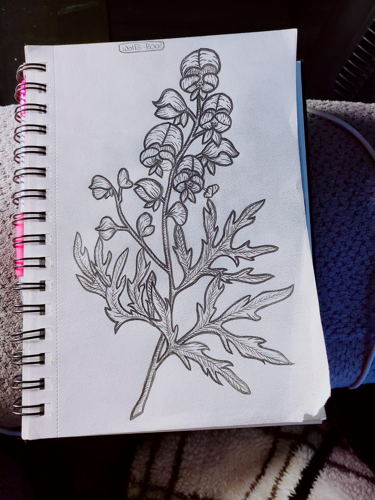 Wolfs Bane and Jimsonweed - image 2 - student project