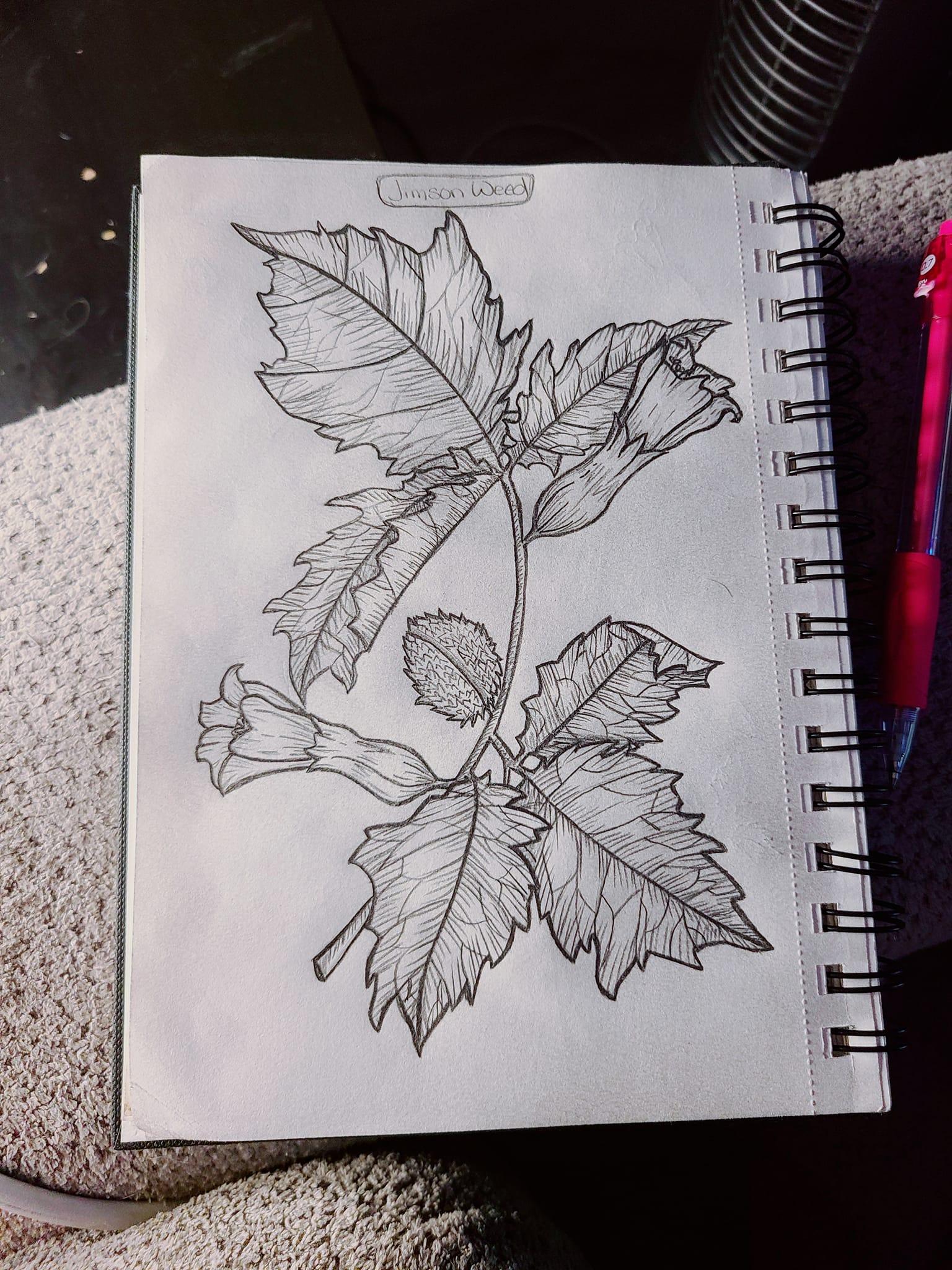 Wolfs Bane and Jimsonweed - image 1 - student project