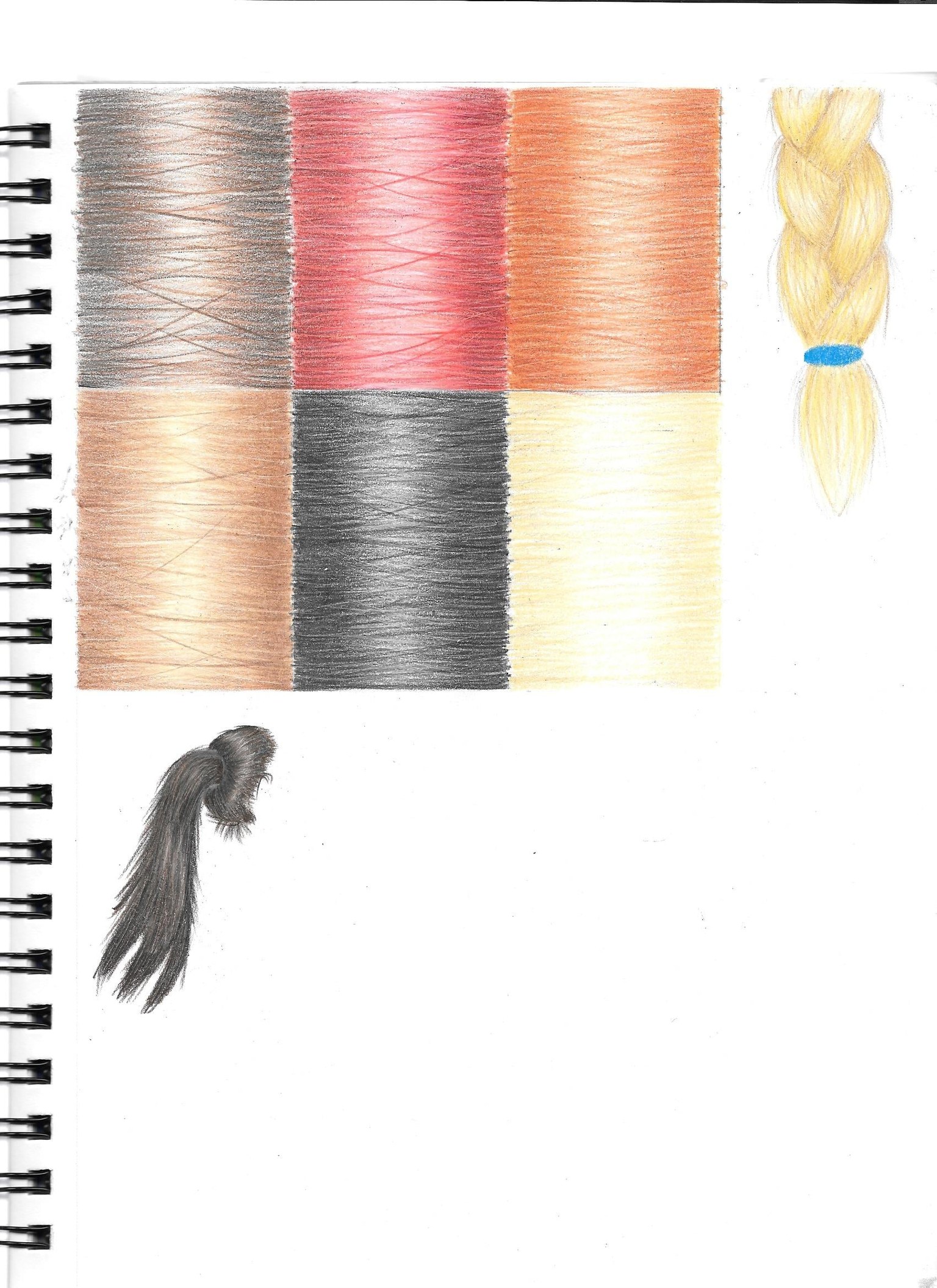 Hairs in Colored Pencils - image 1 - student project