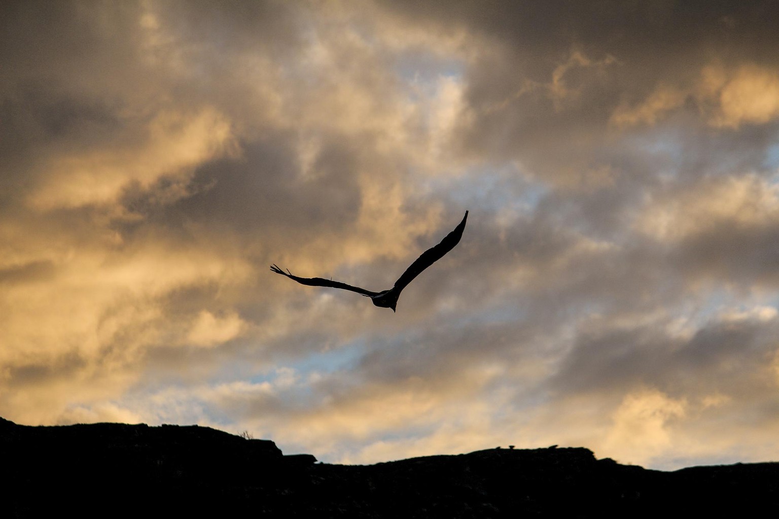 Sample Project: A Midnight Sun Road Trip Within the Arctic Circle - image 4 - student project