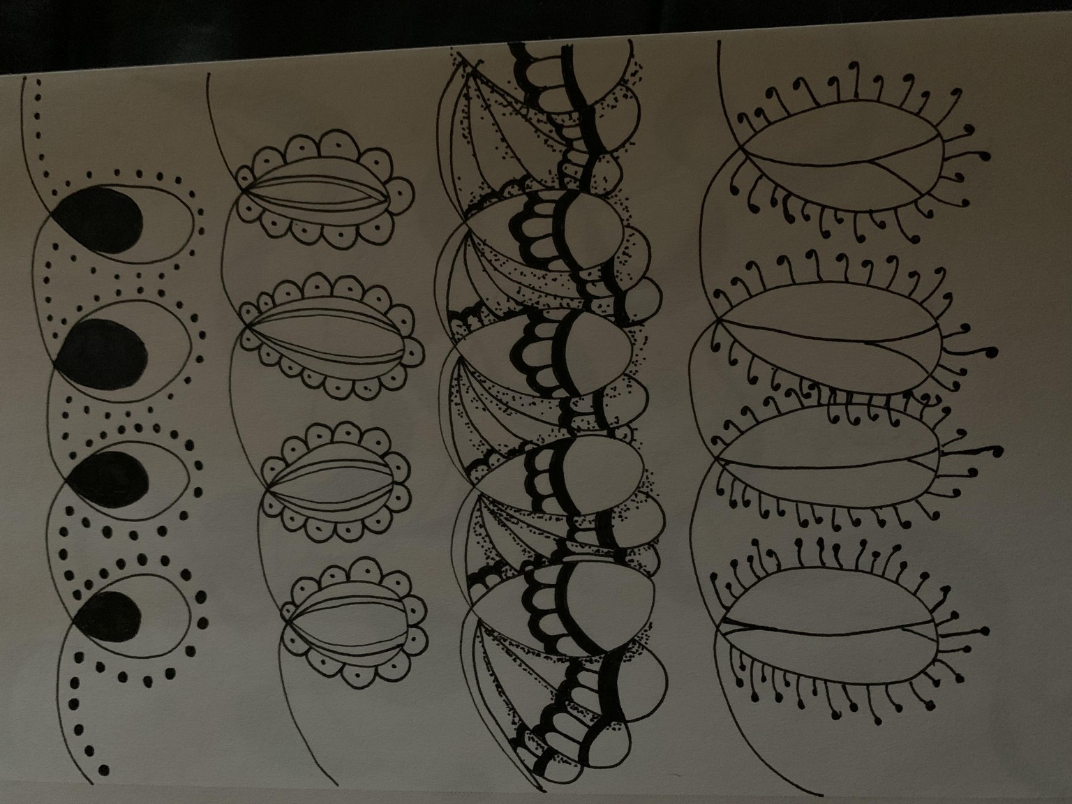Carolyn - image 24 - student project