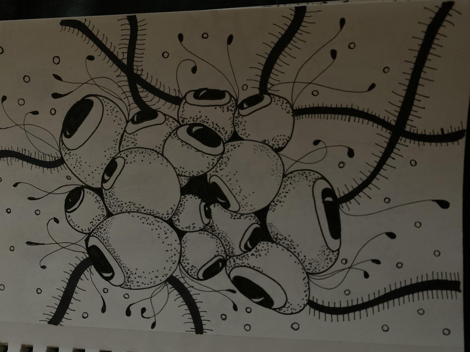Carolyn - image 23 - student project