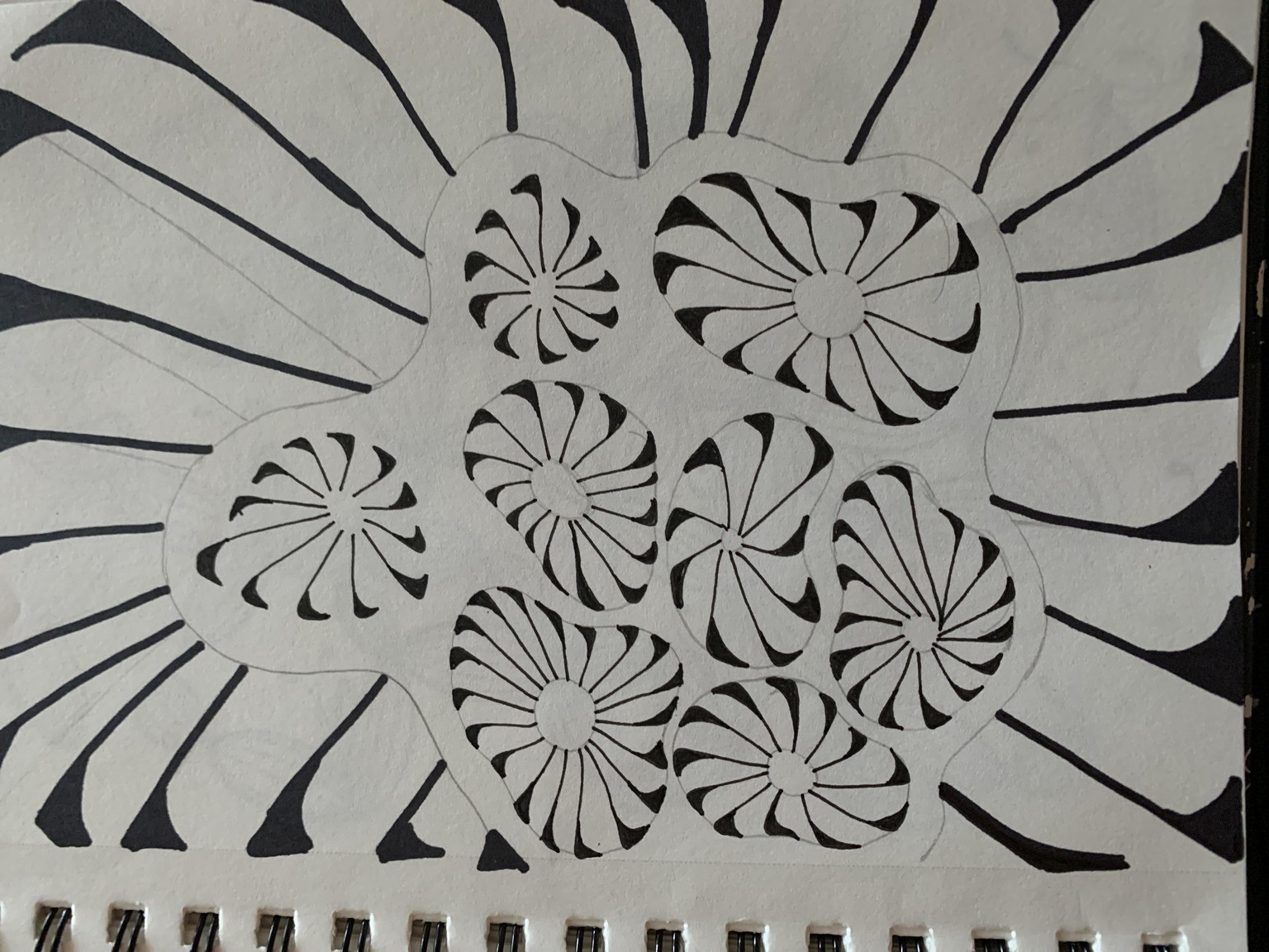 Carolyn - image 29 - student project
