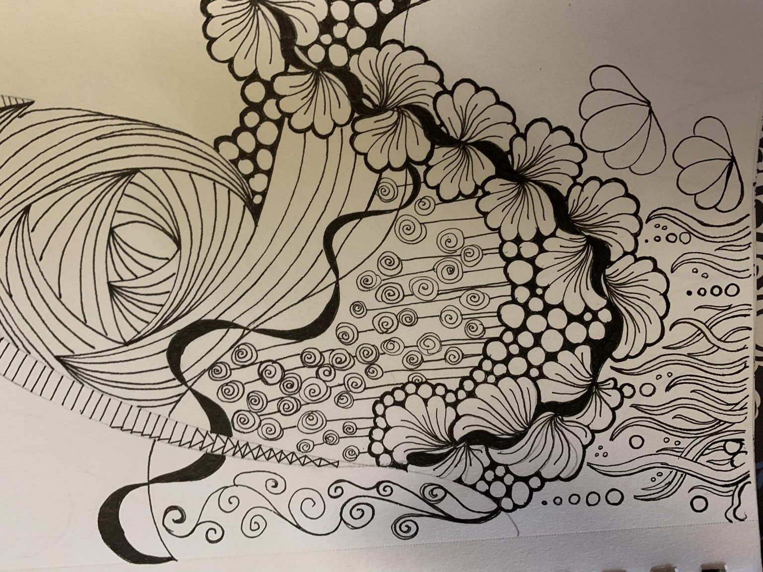 Carolyn - image 11 - student project