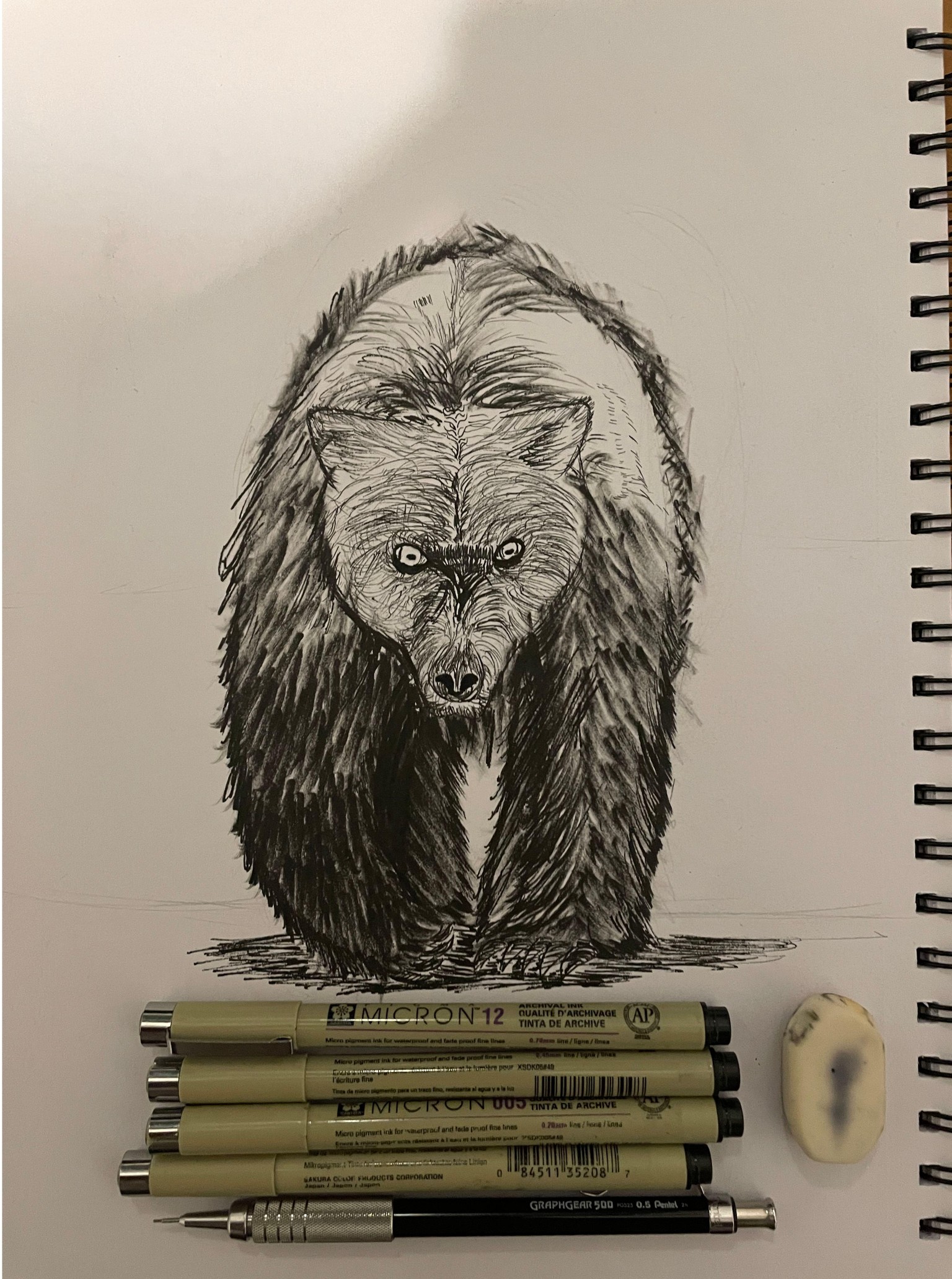 Reference Project: Bear - image 2 - student project