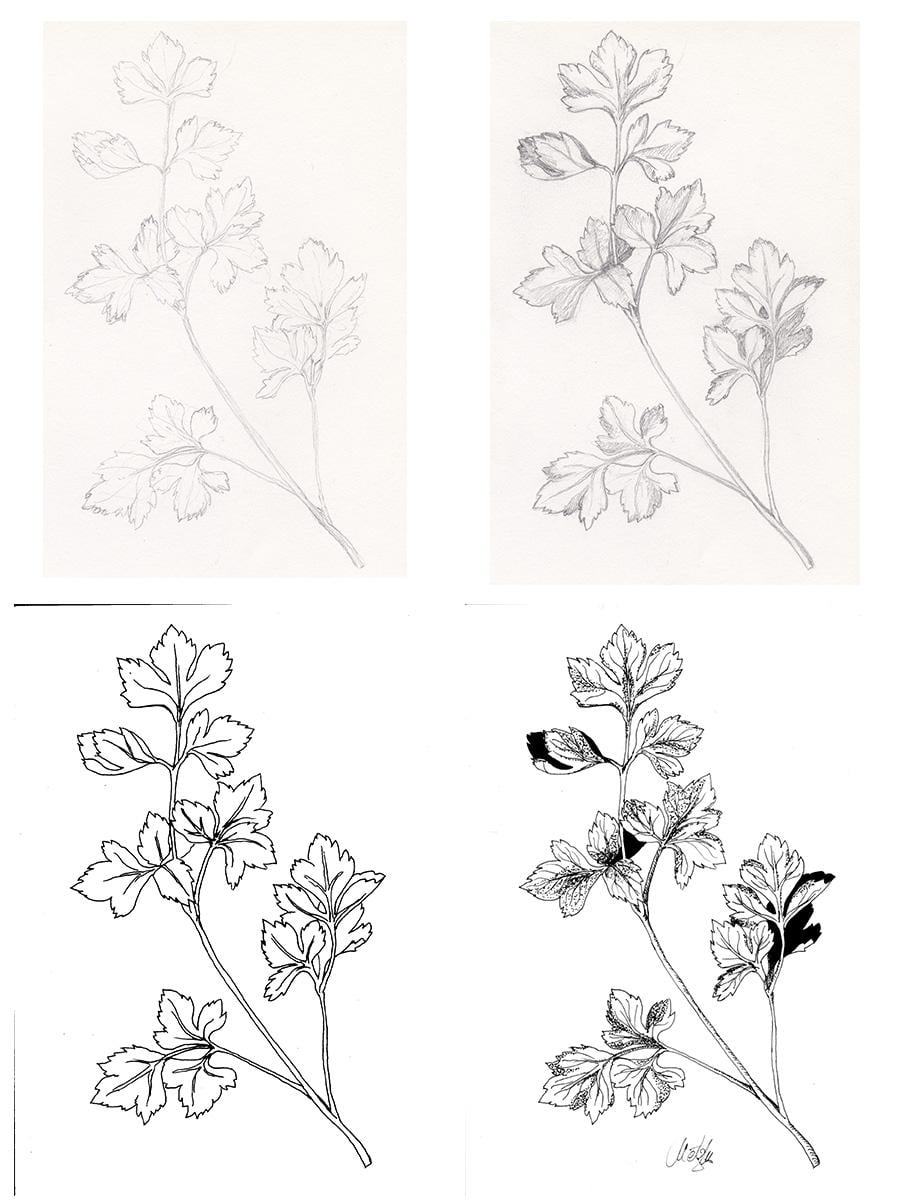 The Parsley Project - image 1 - student project