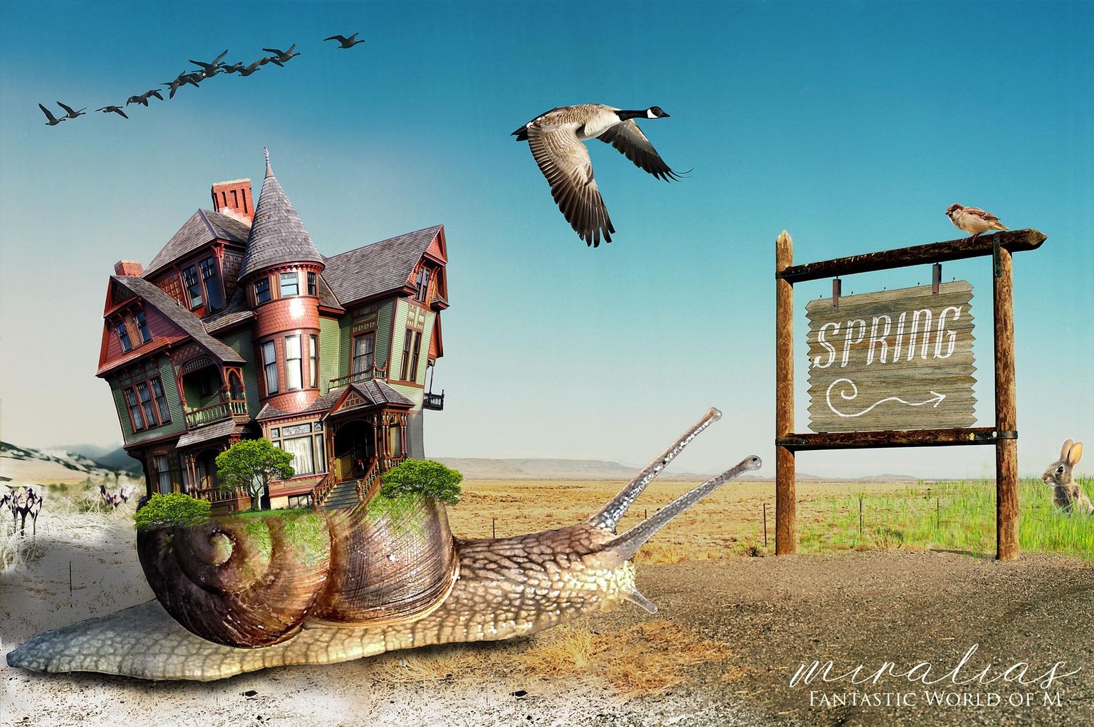 Storytelling with Photoshop - image 1 - student project