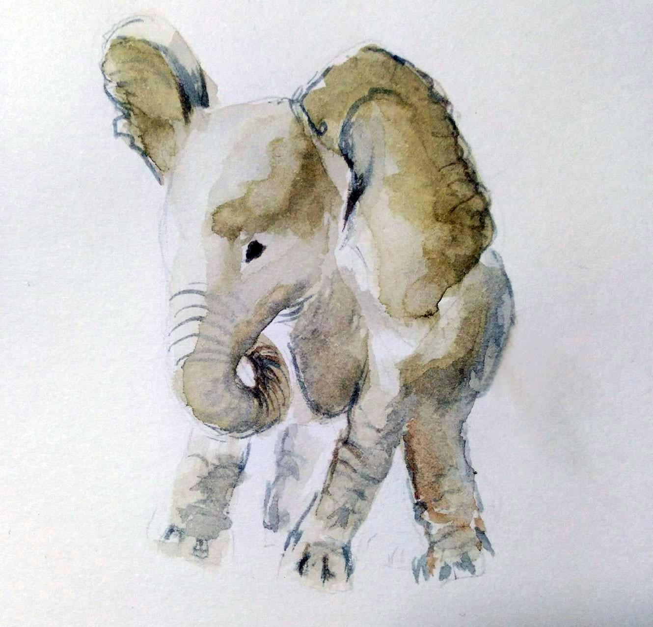 cuteness overload - image 2 - student project