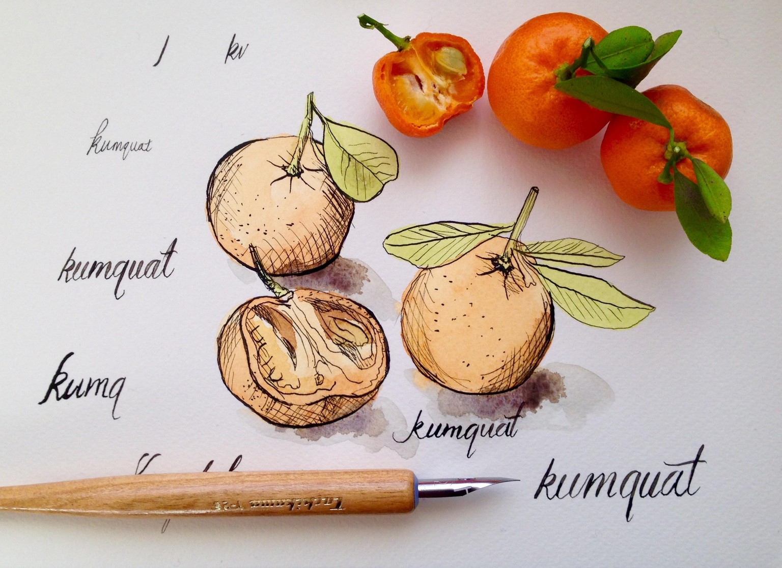 3 Minute Challenge Sketches & Watercolour - image 4 - student project