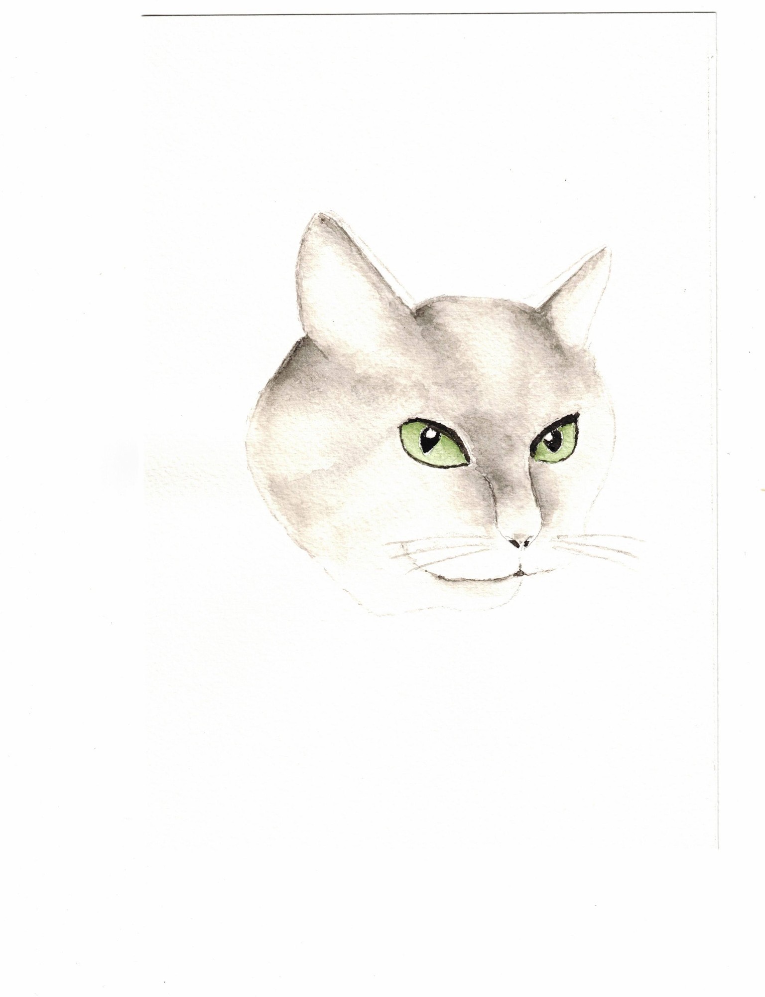My cat - image 1 - student project