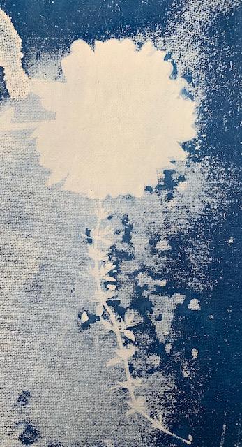 Abstract cyanotypes - image 2 - student project