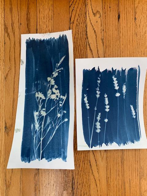Abstract cyanotypes - image 3 - student project