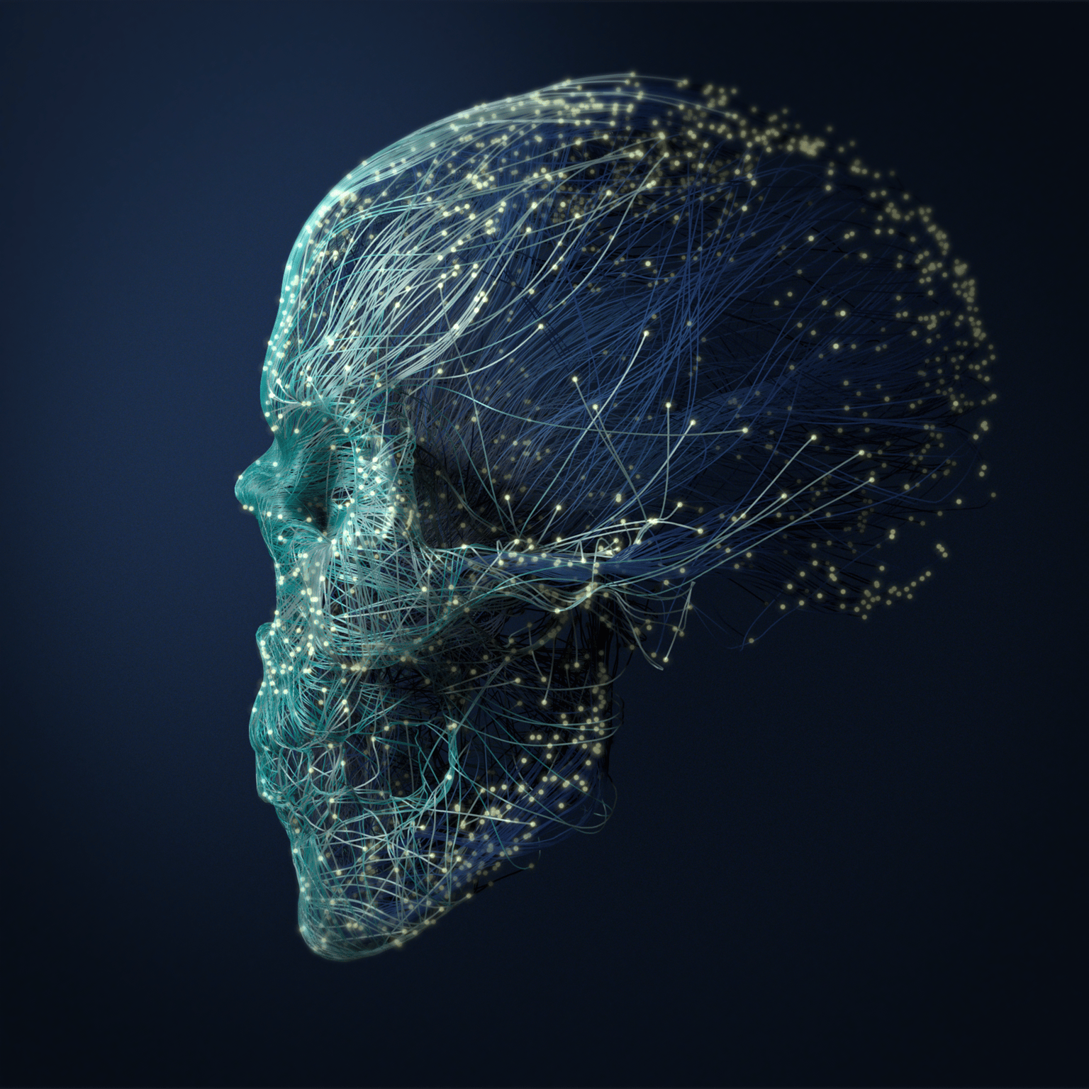 Abstract Skull - image 1 - student project