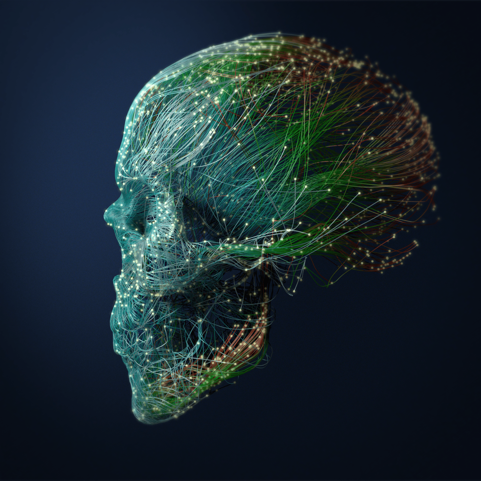 Abstract Skull - image 2 - student project