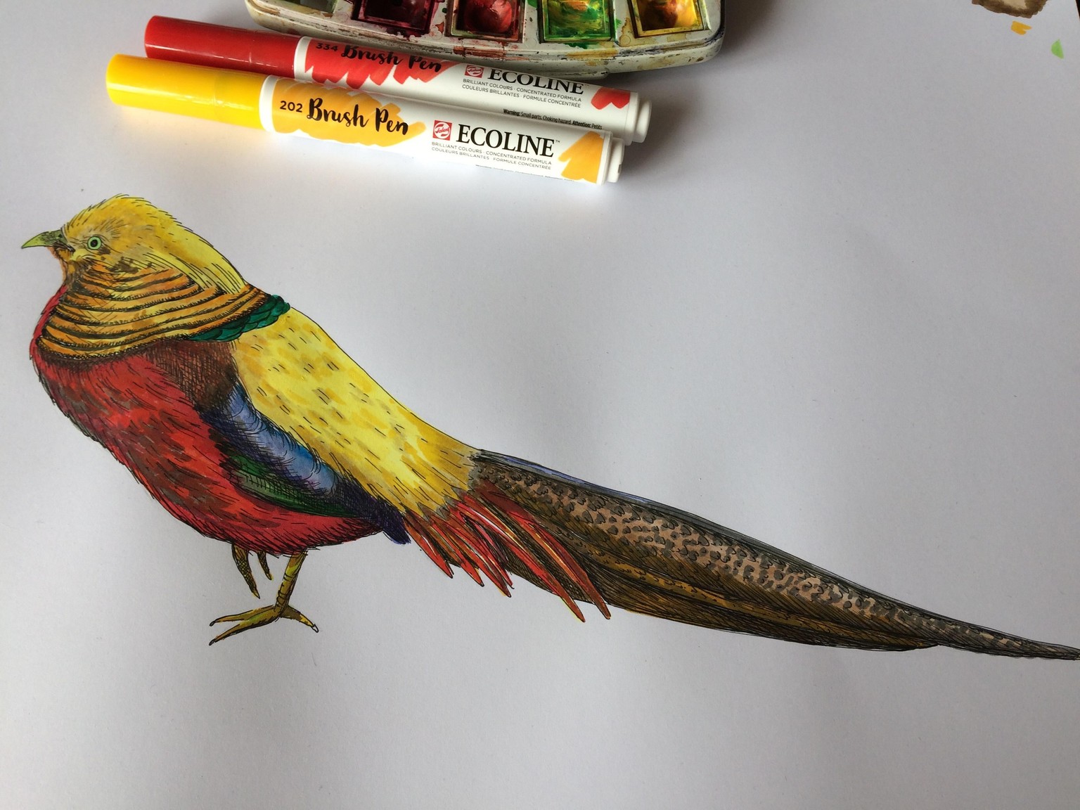 Prairie dog and colourful bird - image 6 - student project