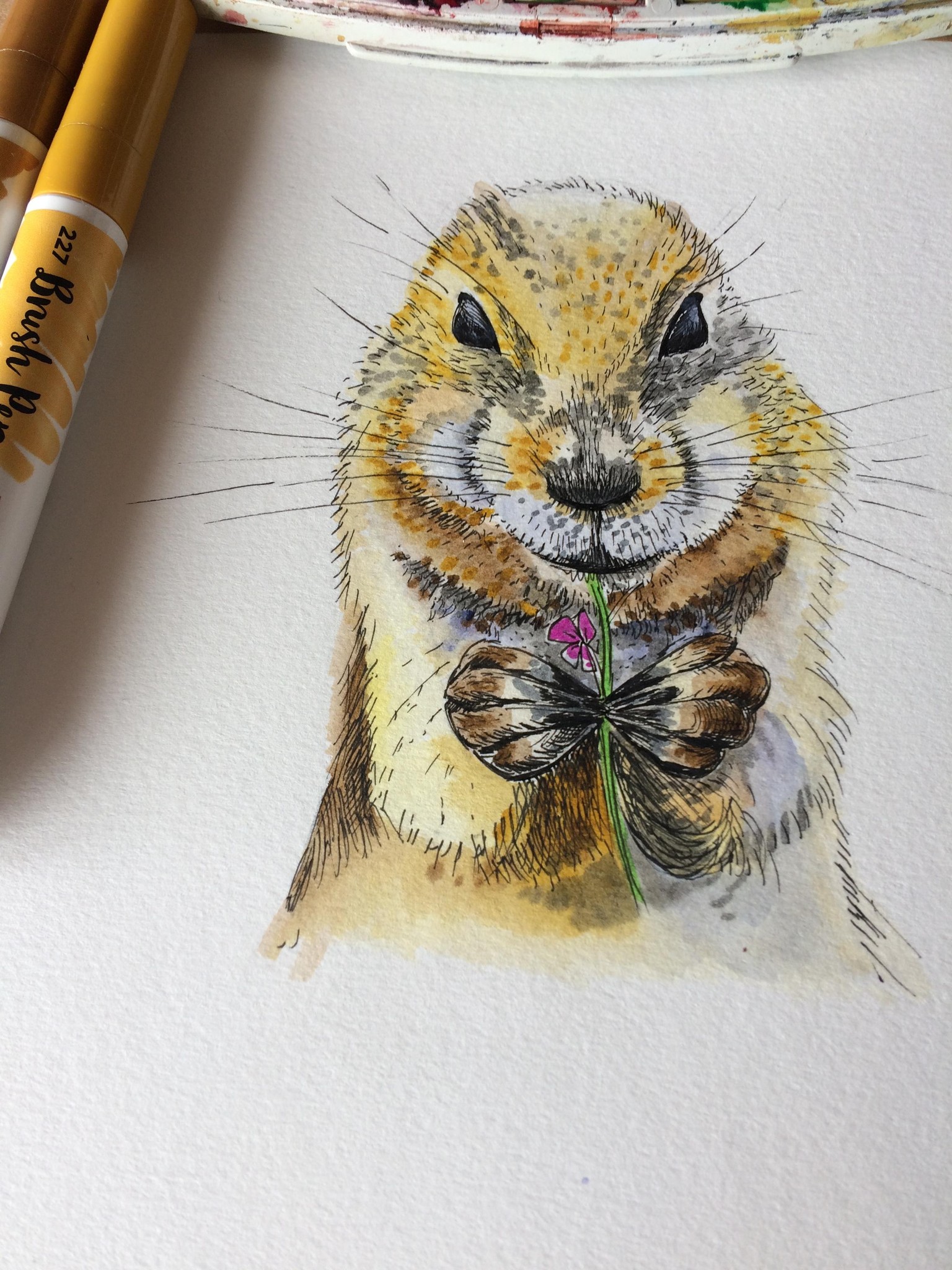 Prairie dog and colourful bird - image 2 - student project