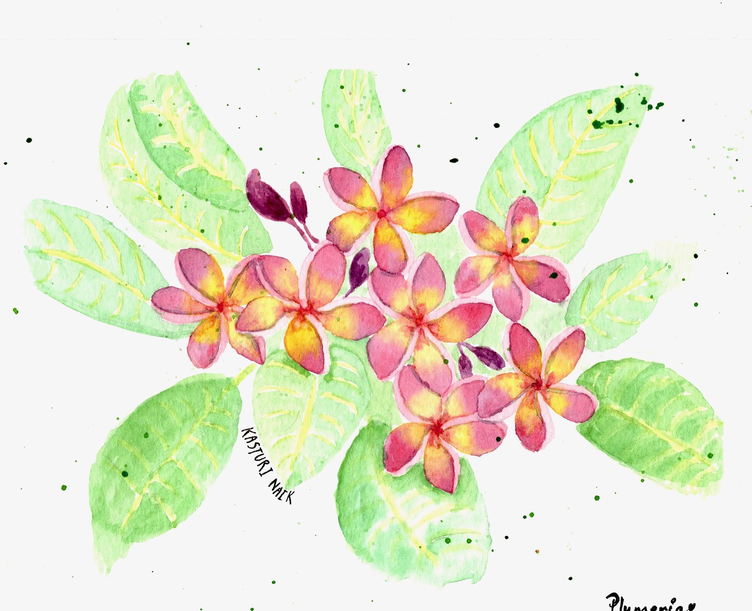 Tropical Flora - image 5 - student project