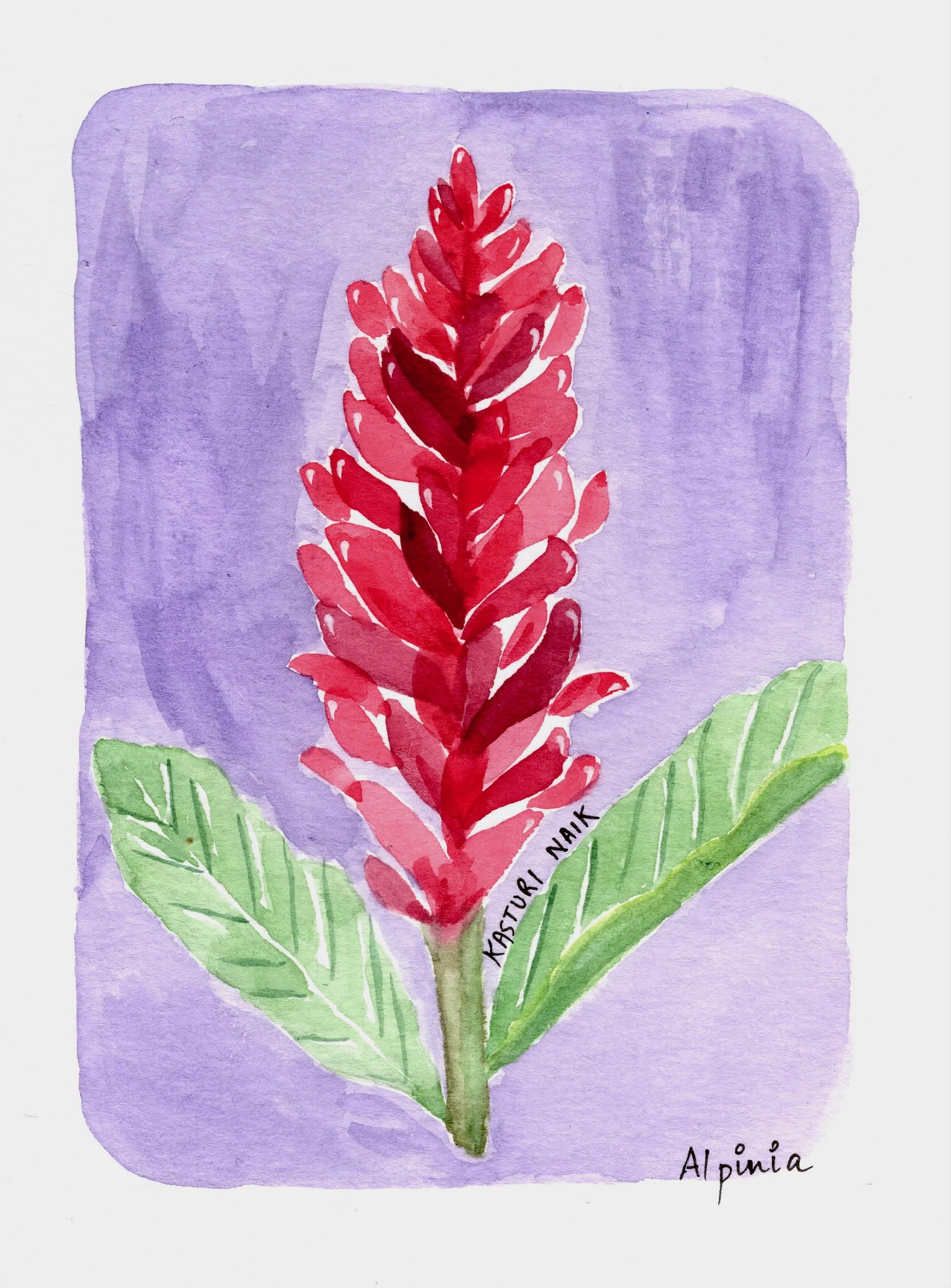 Tropical Flora - image 3 - student project