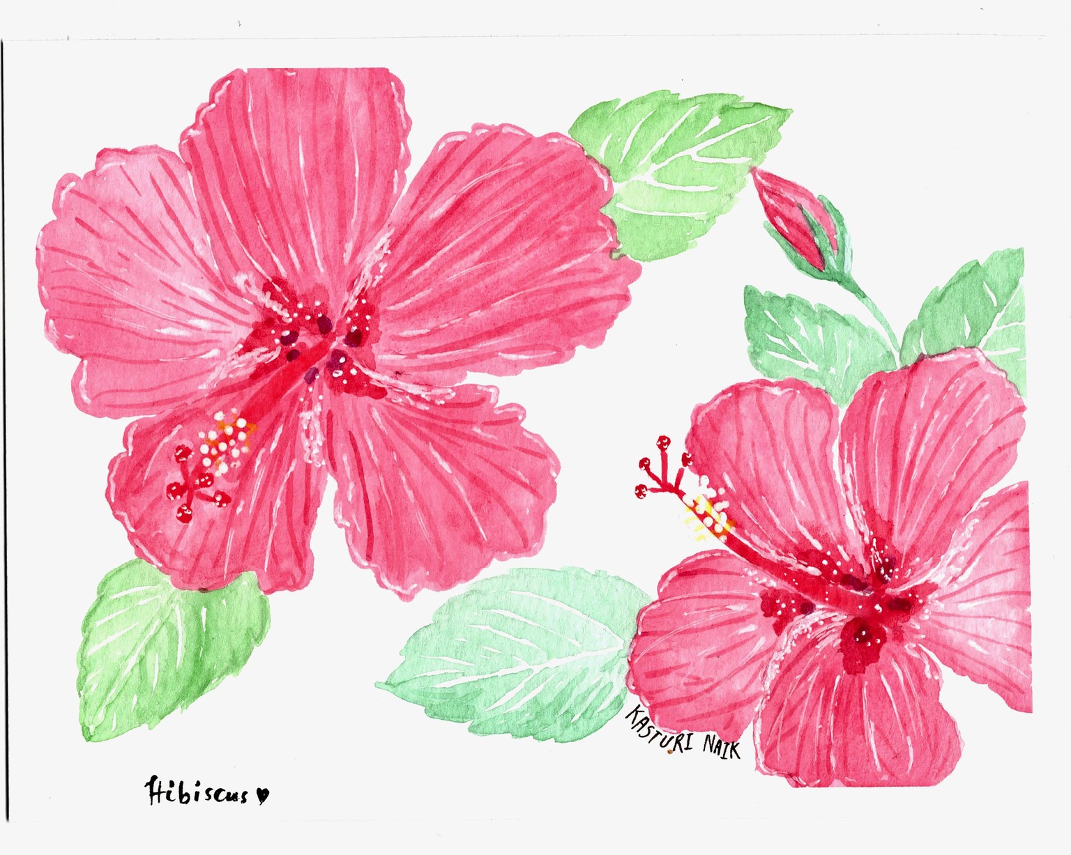 Tropical Flora - image 2 - student project