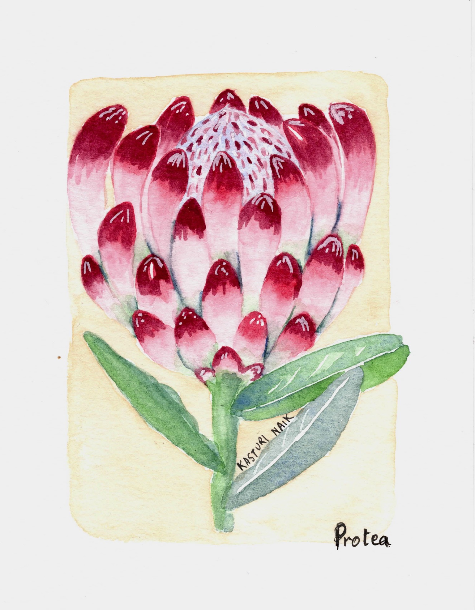 Tropical Flora - image 4 - student project