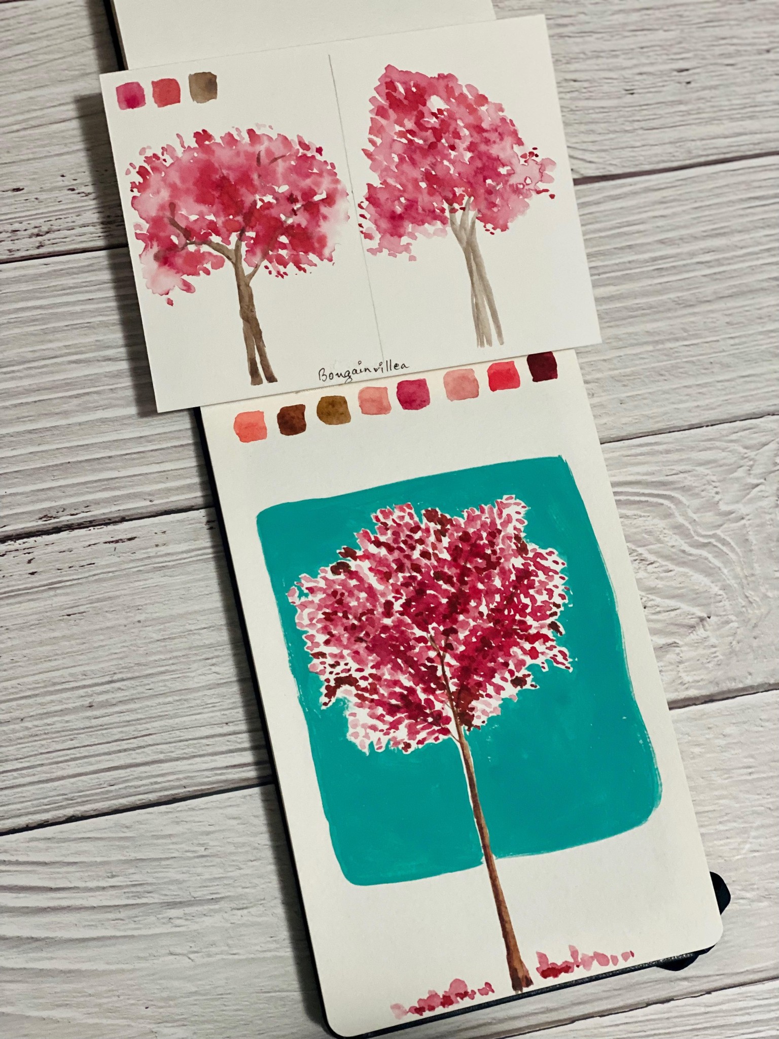 Bougainvillea - image 1 - student project